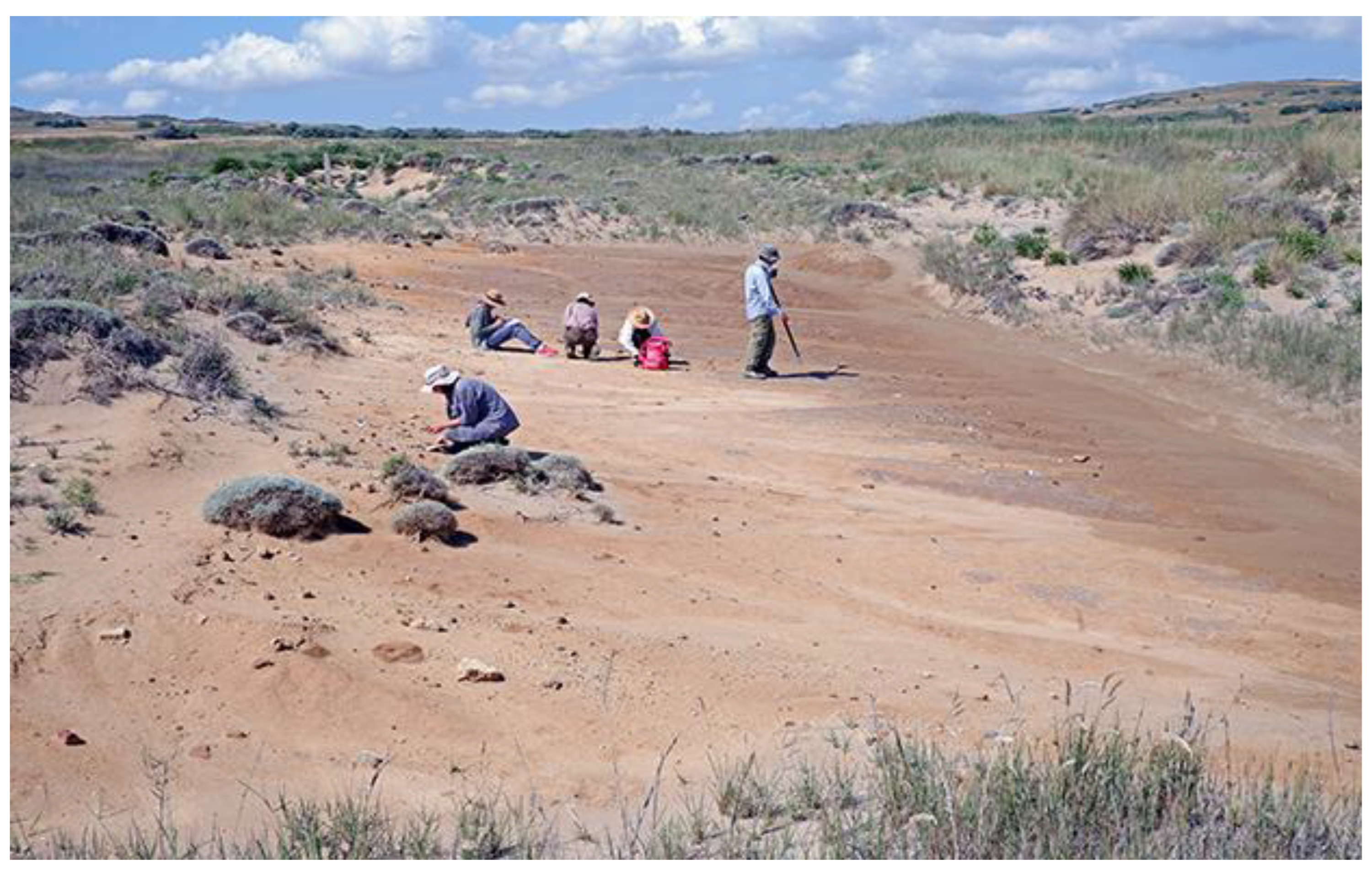 Preprints 152264 g003