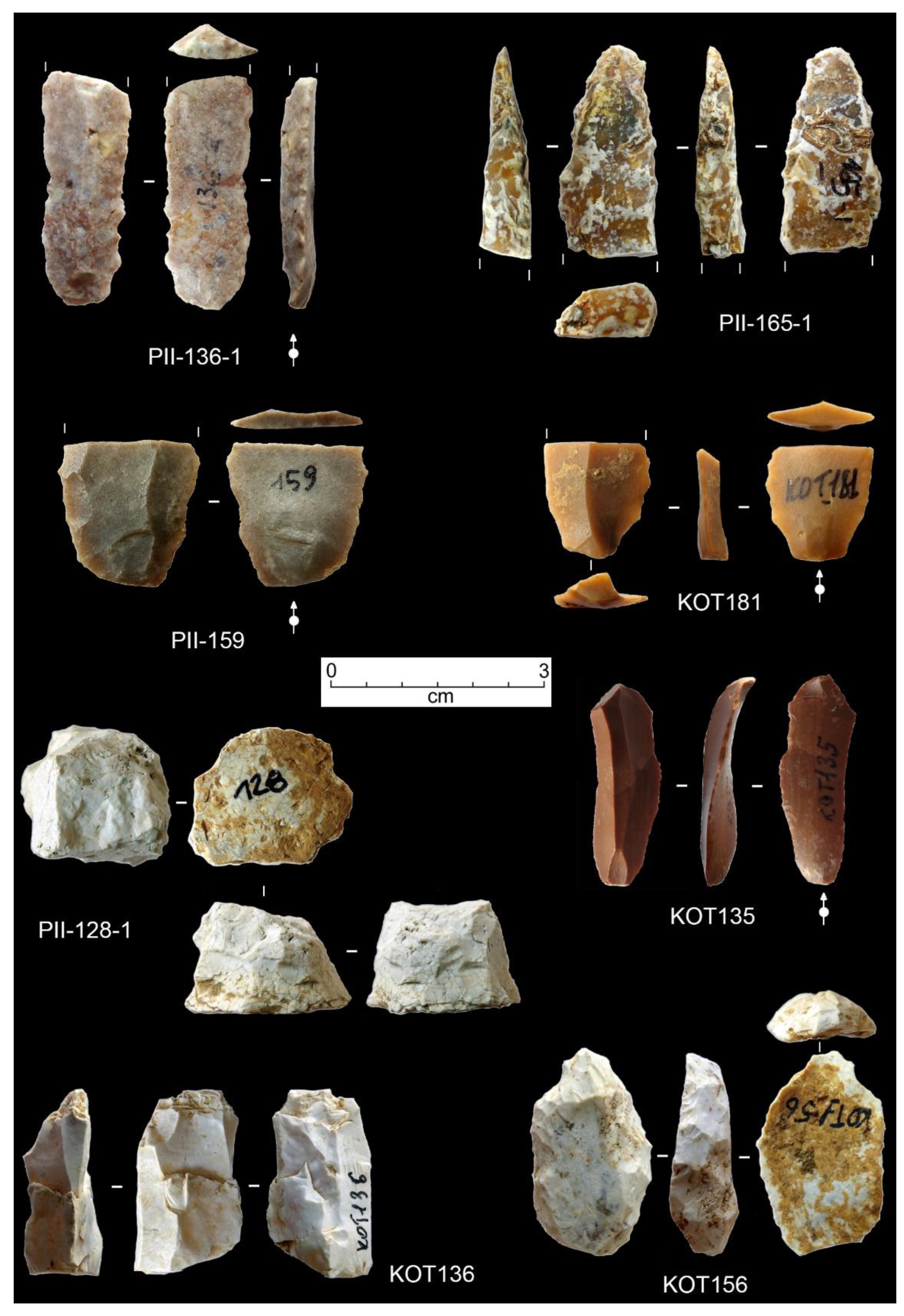 Preprints 152264 g006