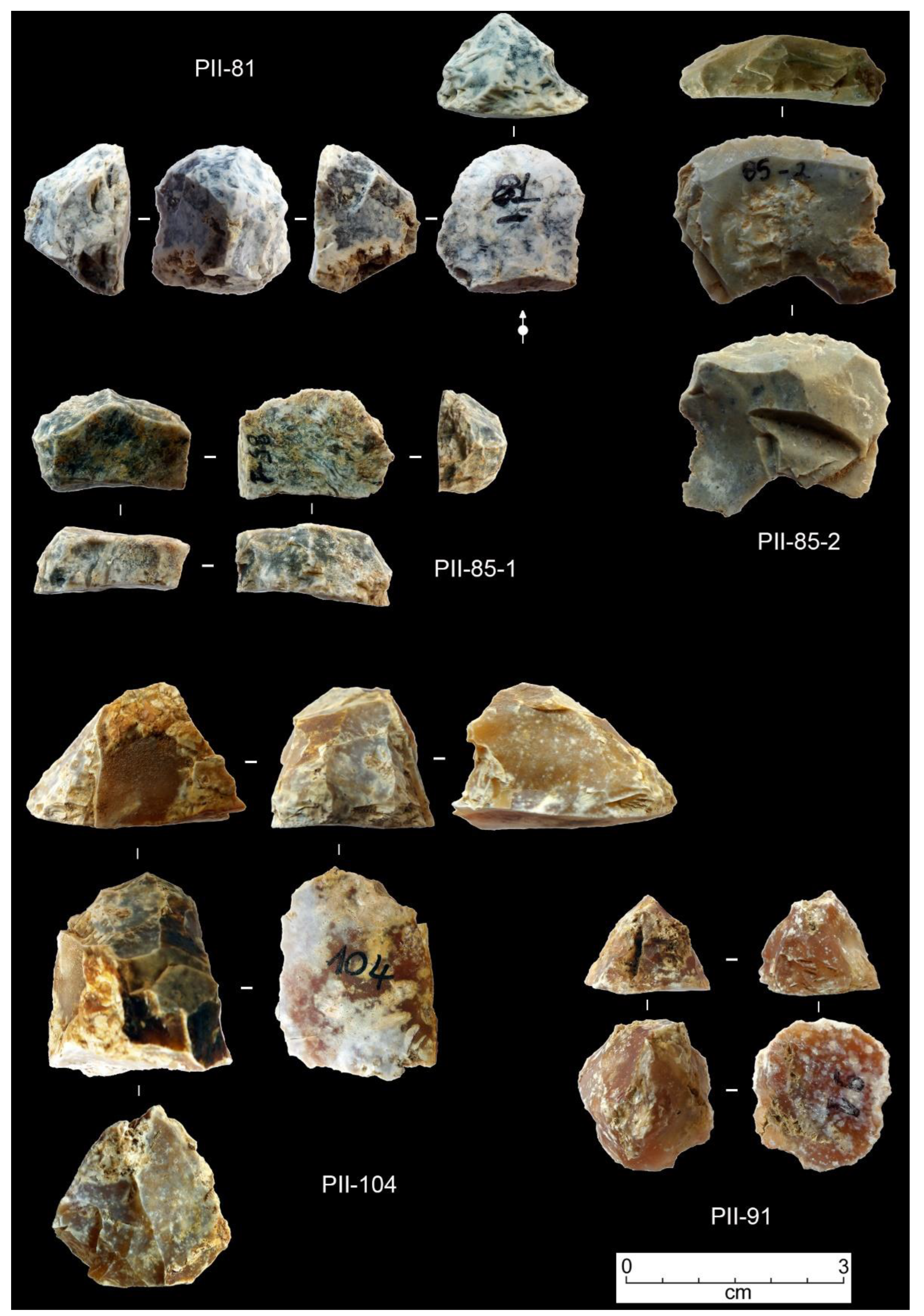 Preprints 152264 g007