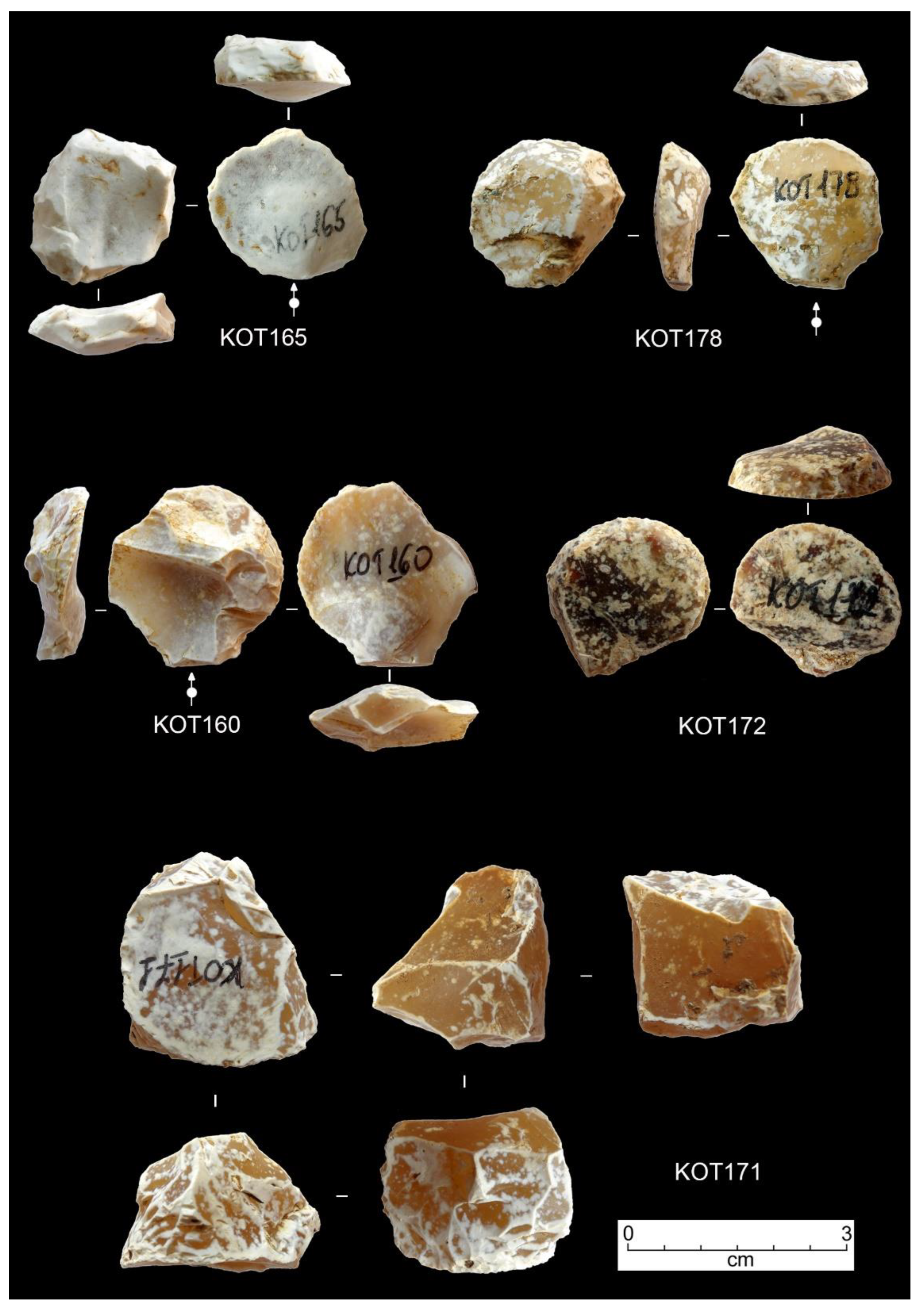 Preprints 152264 g008