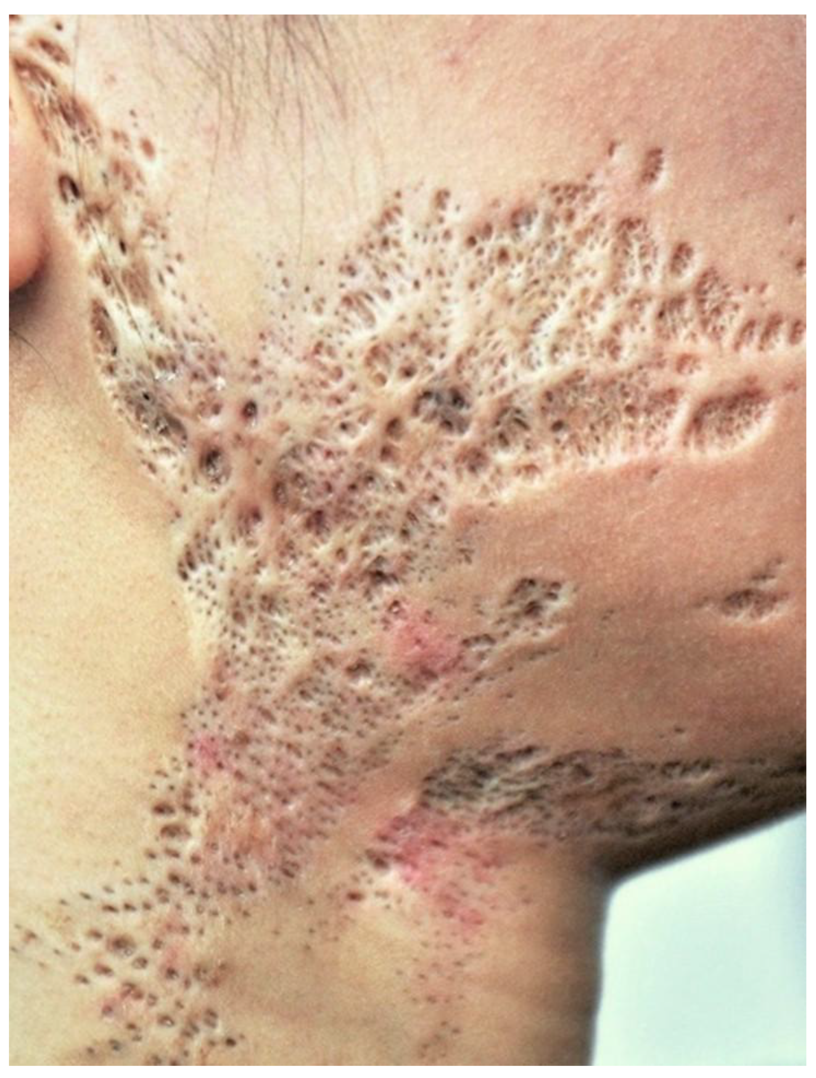 Preprints 166644 g002