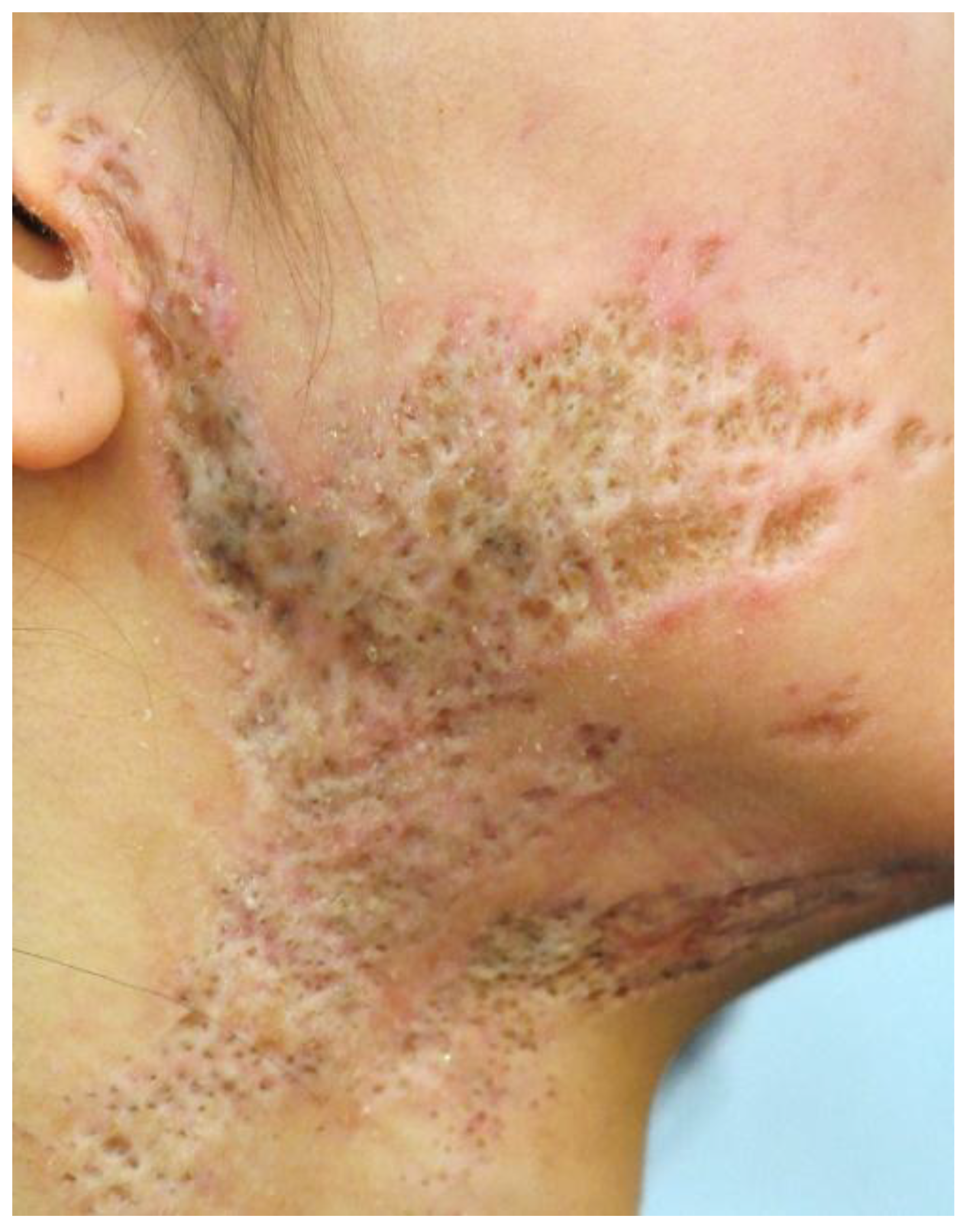 Preprints 166644 g003