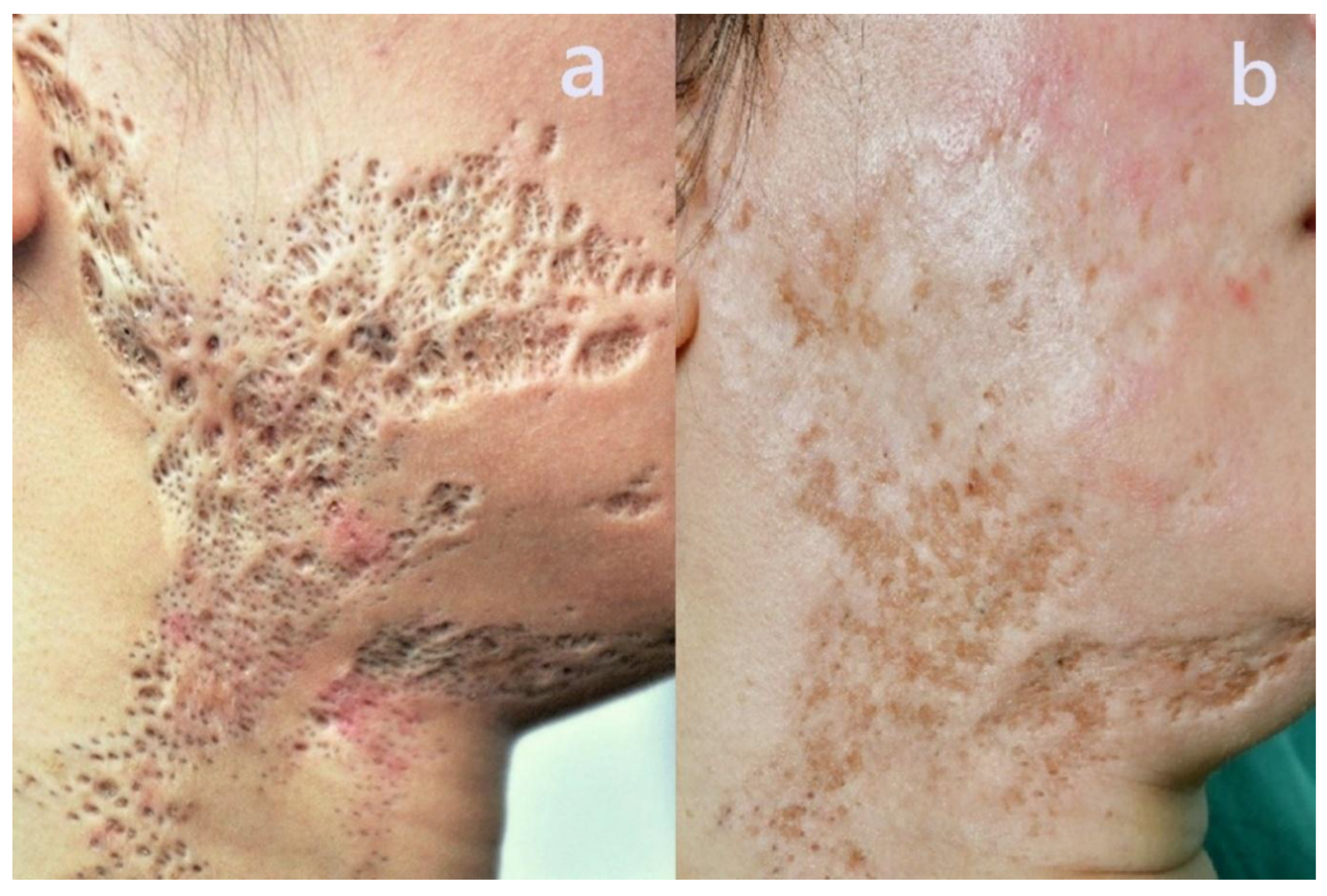 Preprints 166644 g008