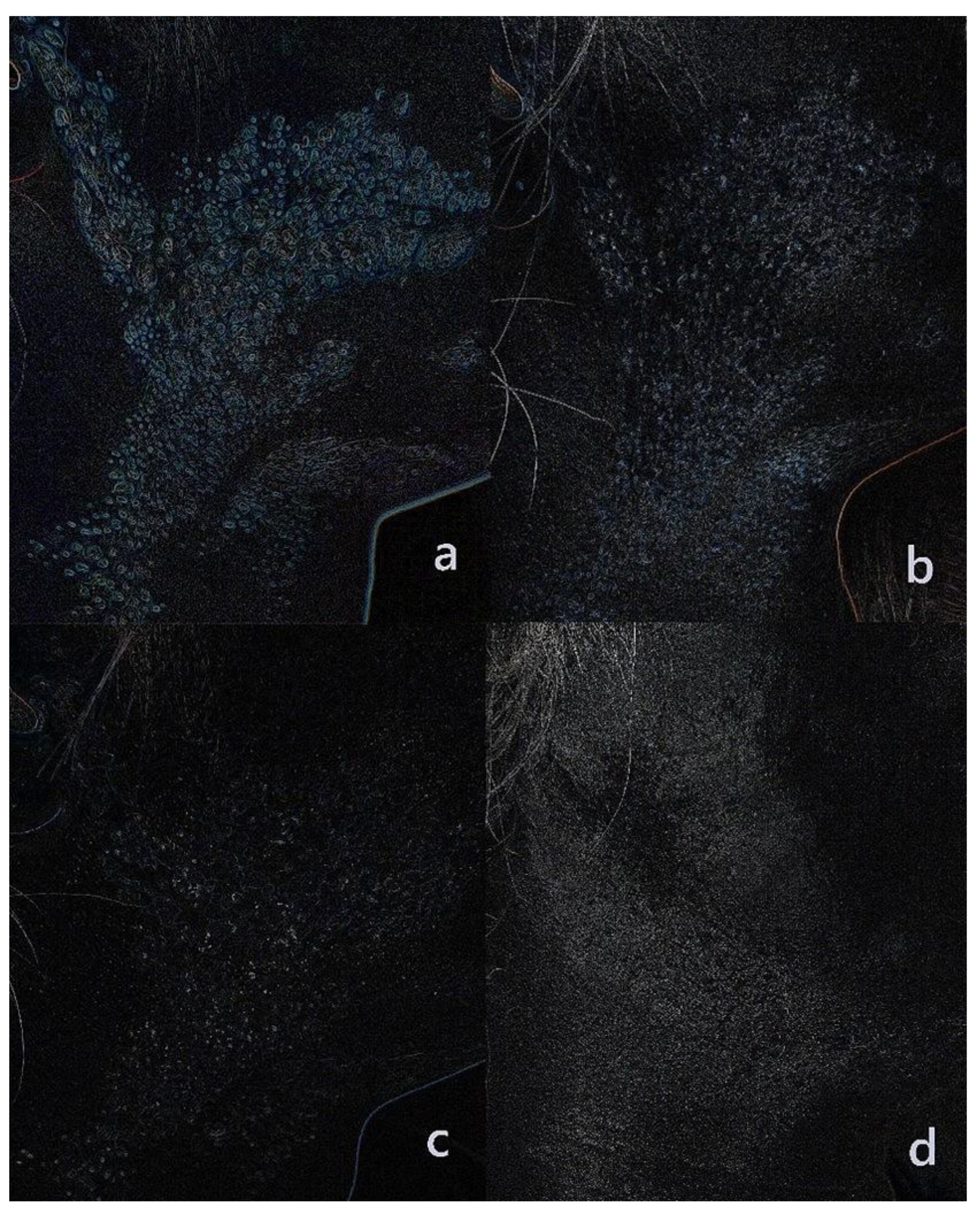 Preprints 166644 g009
