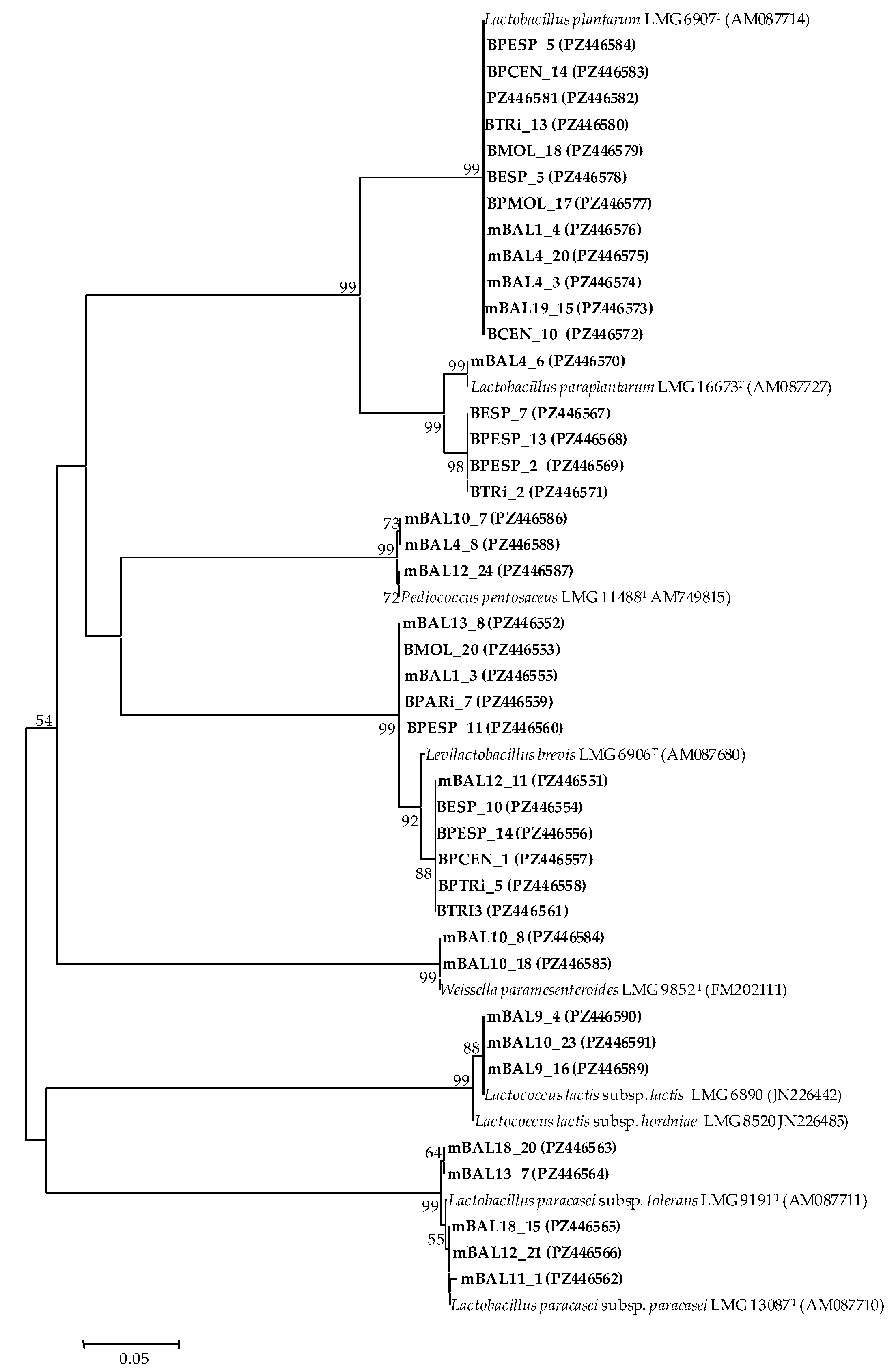 Preprints 216409 g003