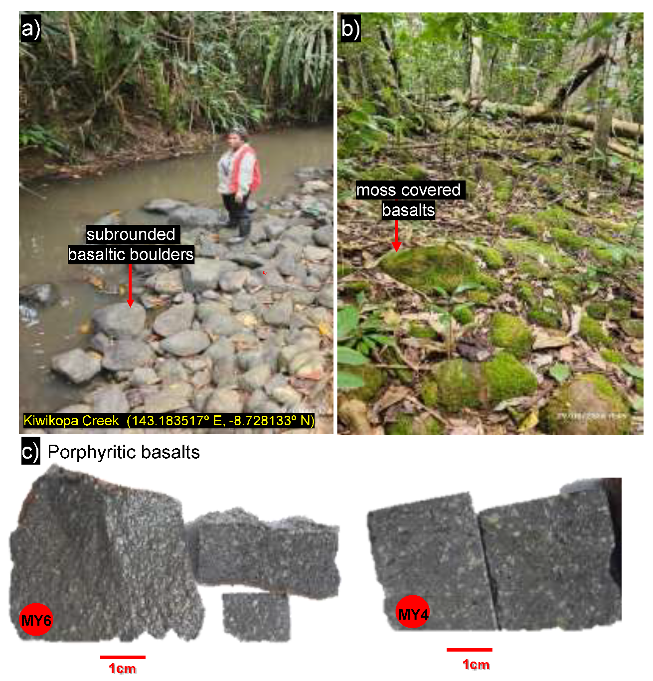 Preprints 193344 g005a