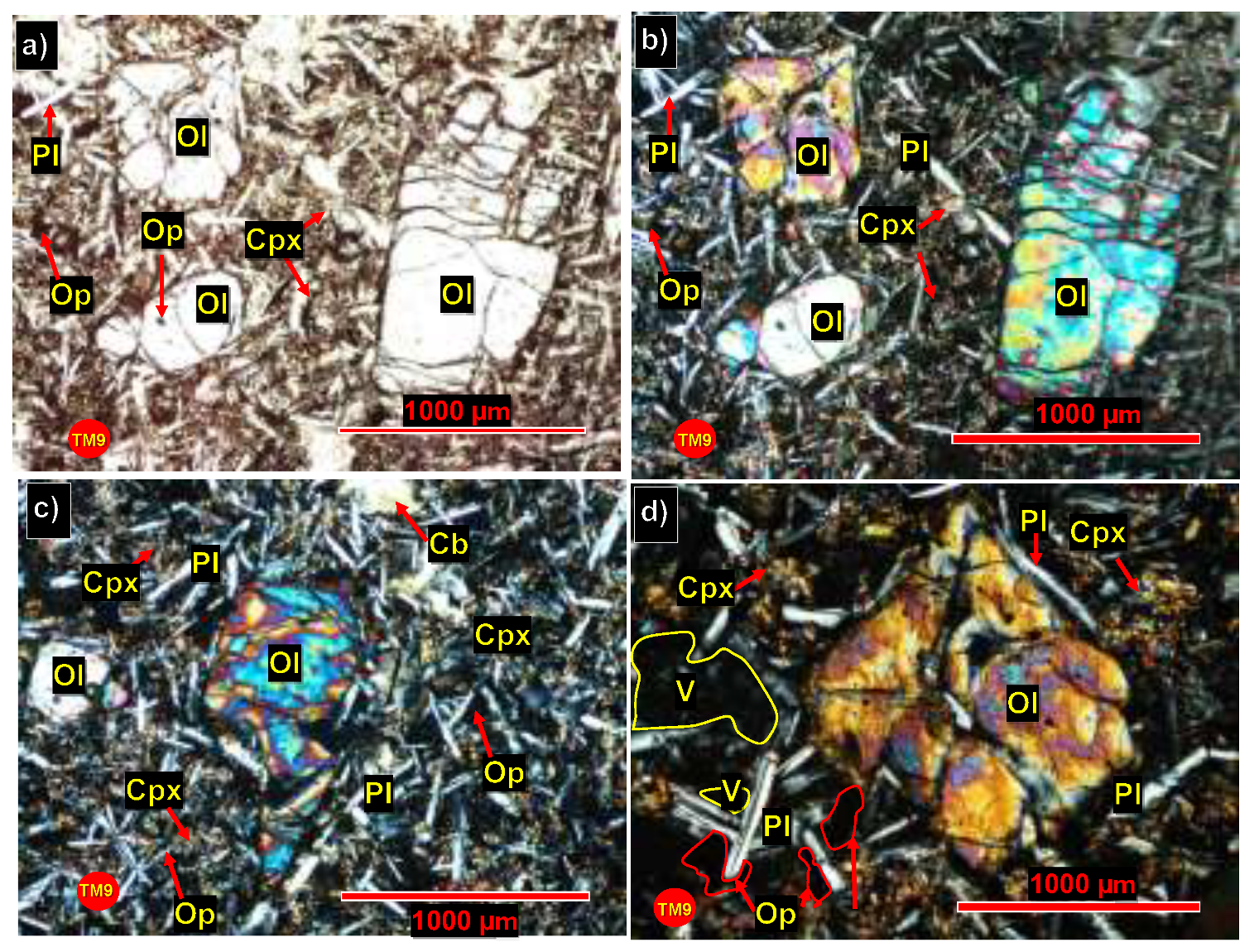 Preprints 193344 g005b