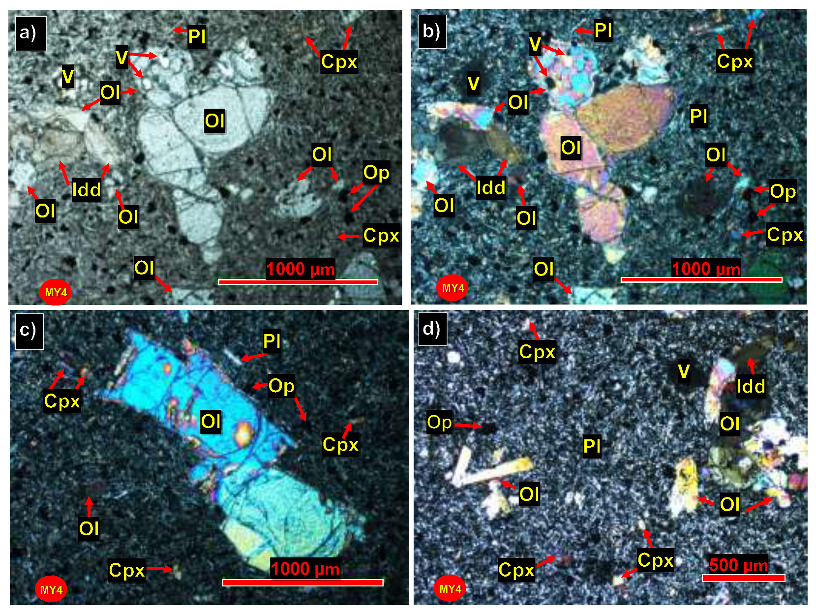 Preprints 193344 g007