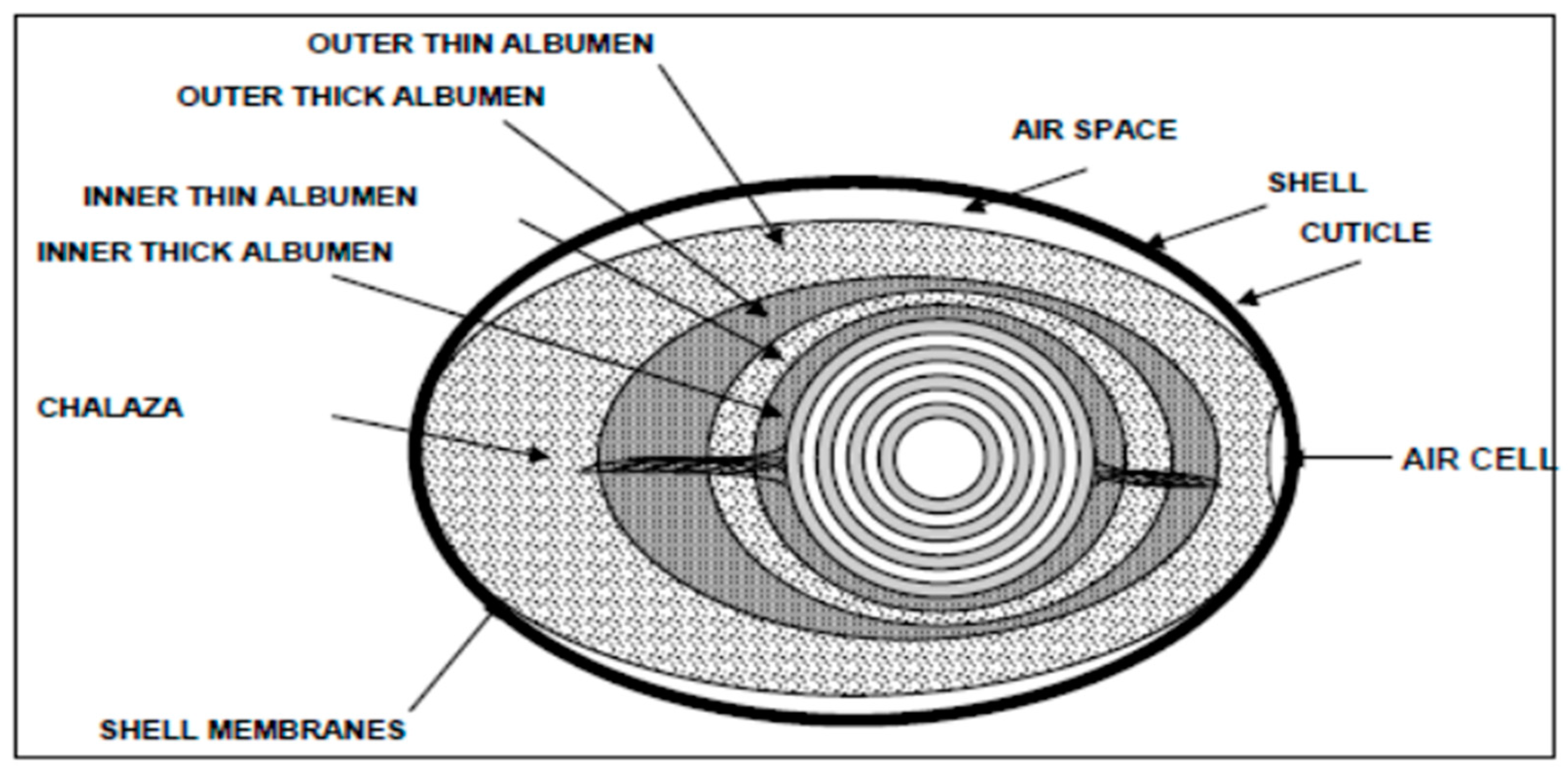 Preprints 96045 g001