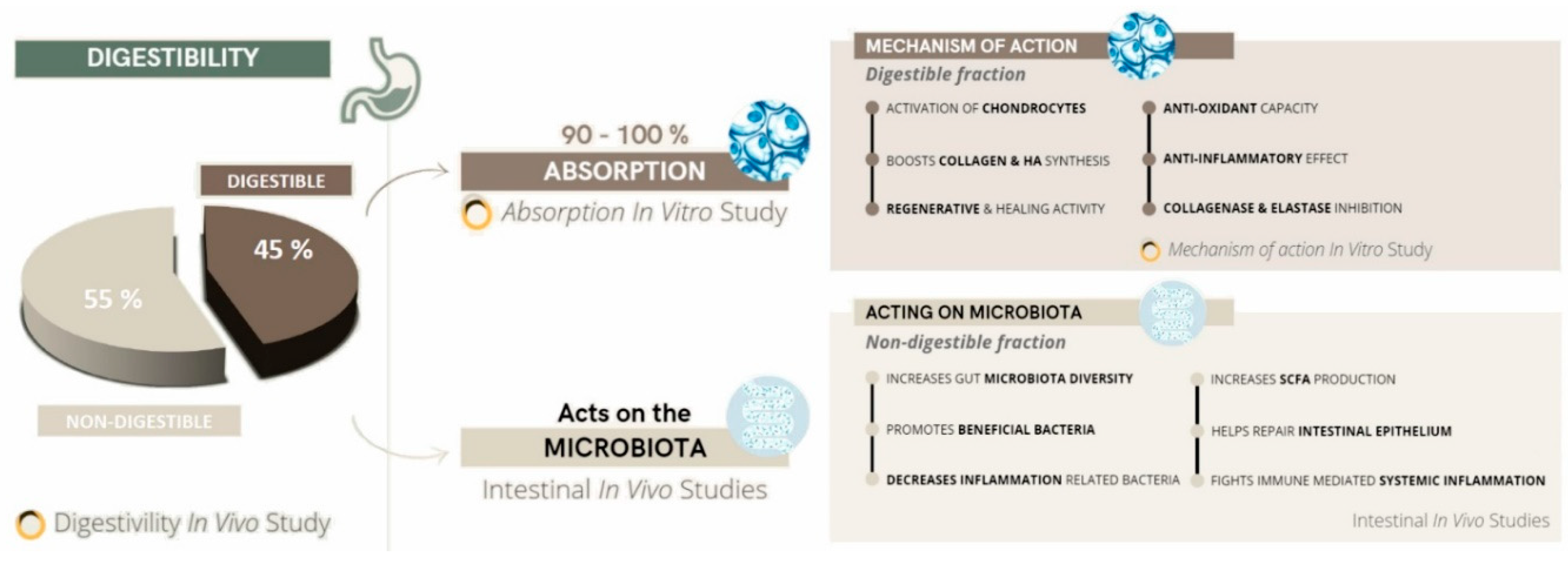 Preprints 96045 g002