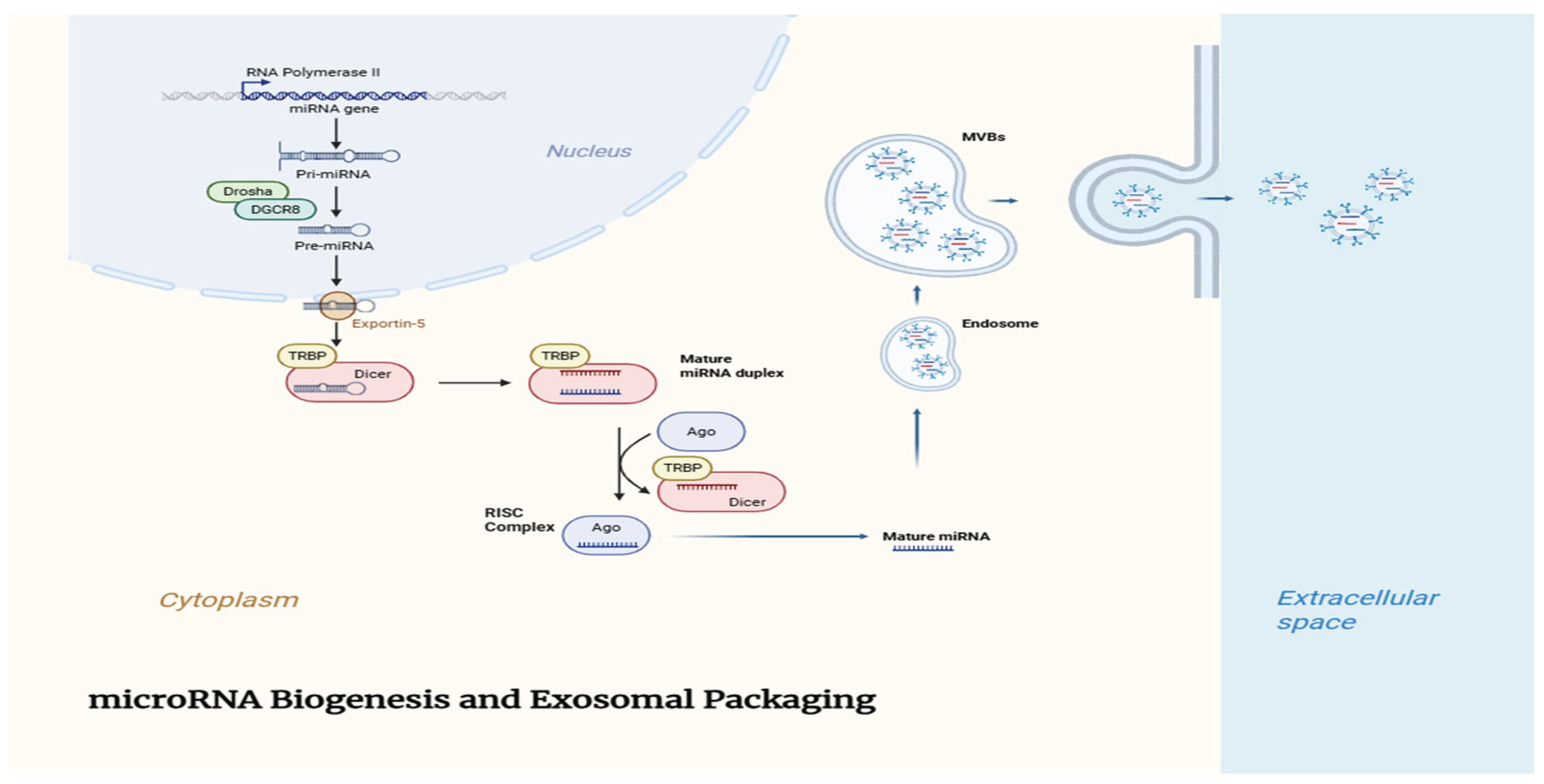 Preprints 181510 g001