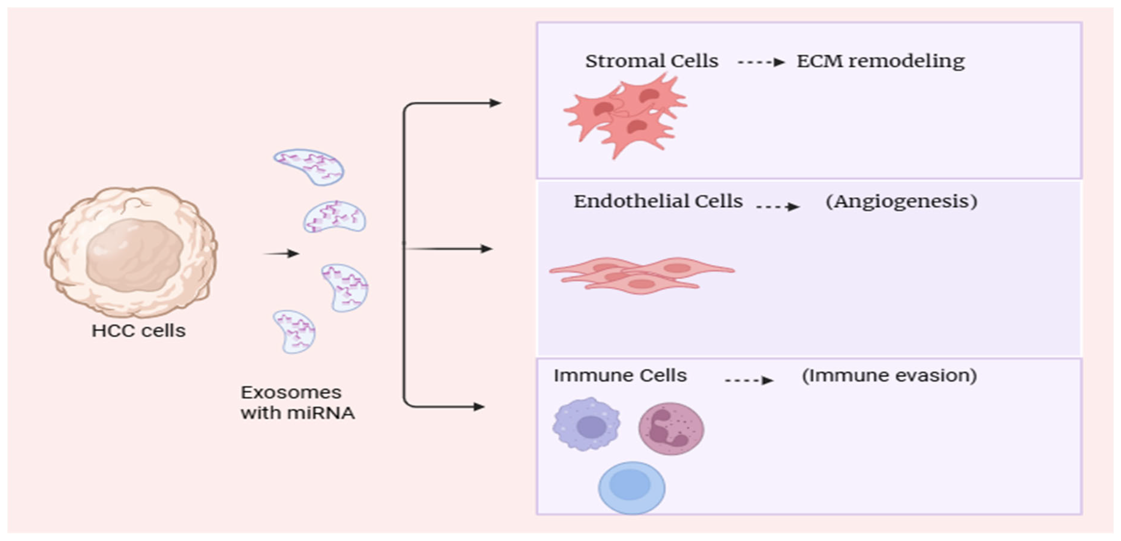 Preprints 181510 g002