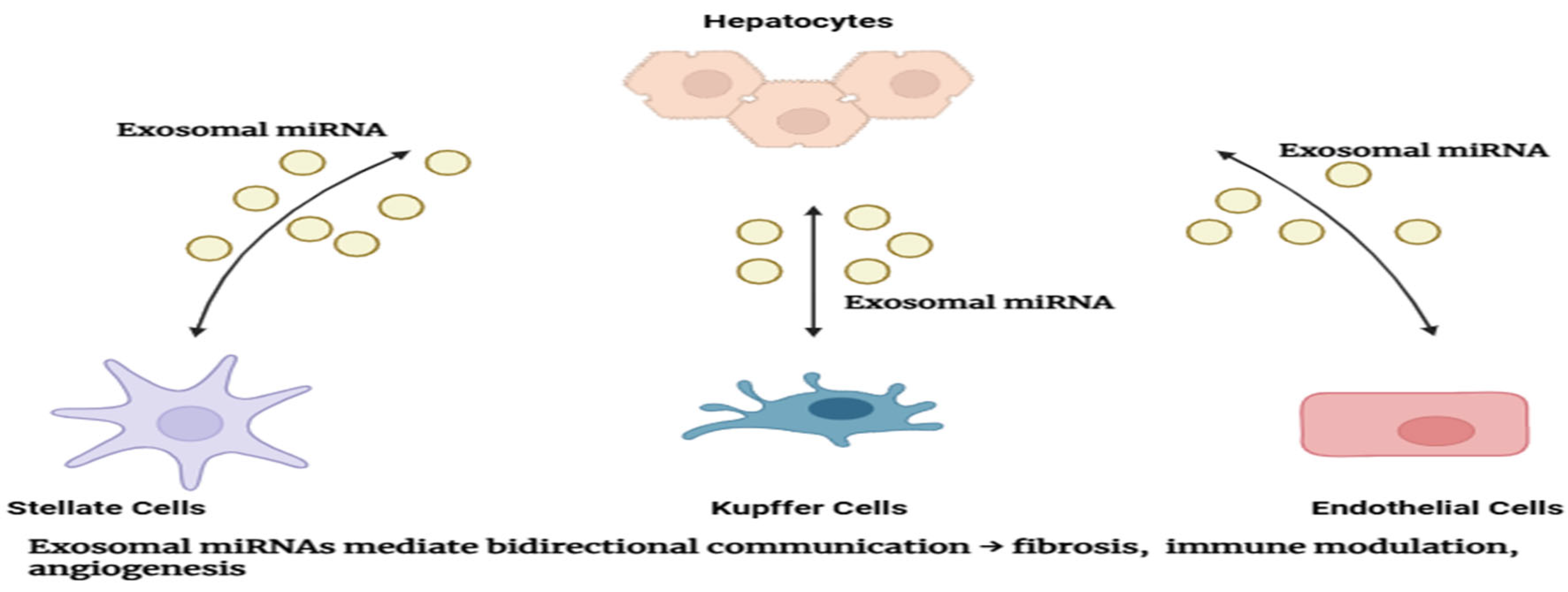 Preprints 181510 g003