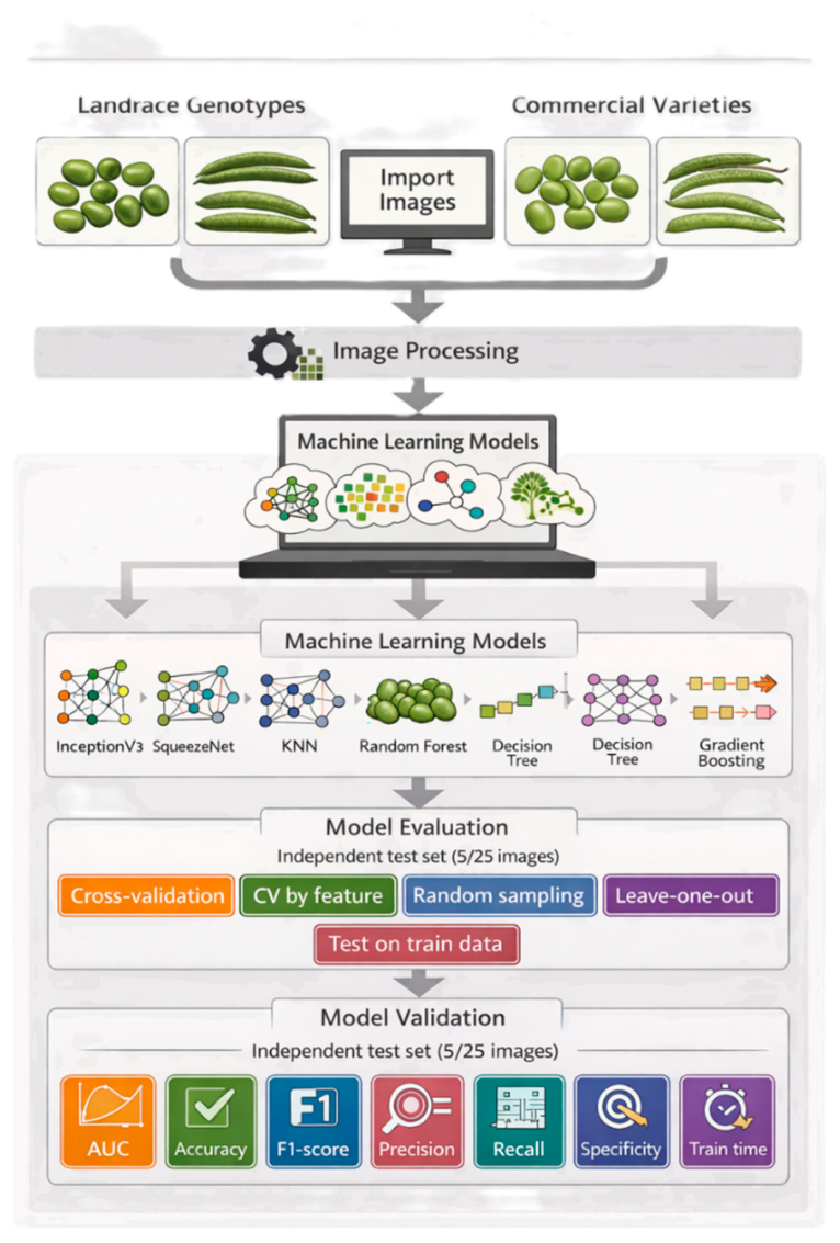 Preprints 217309 g001