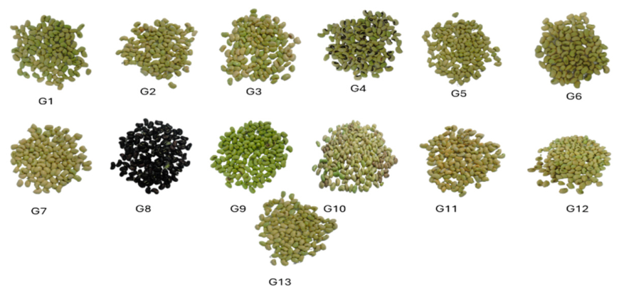 Preprints 217309 g003