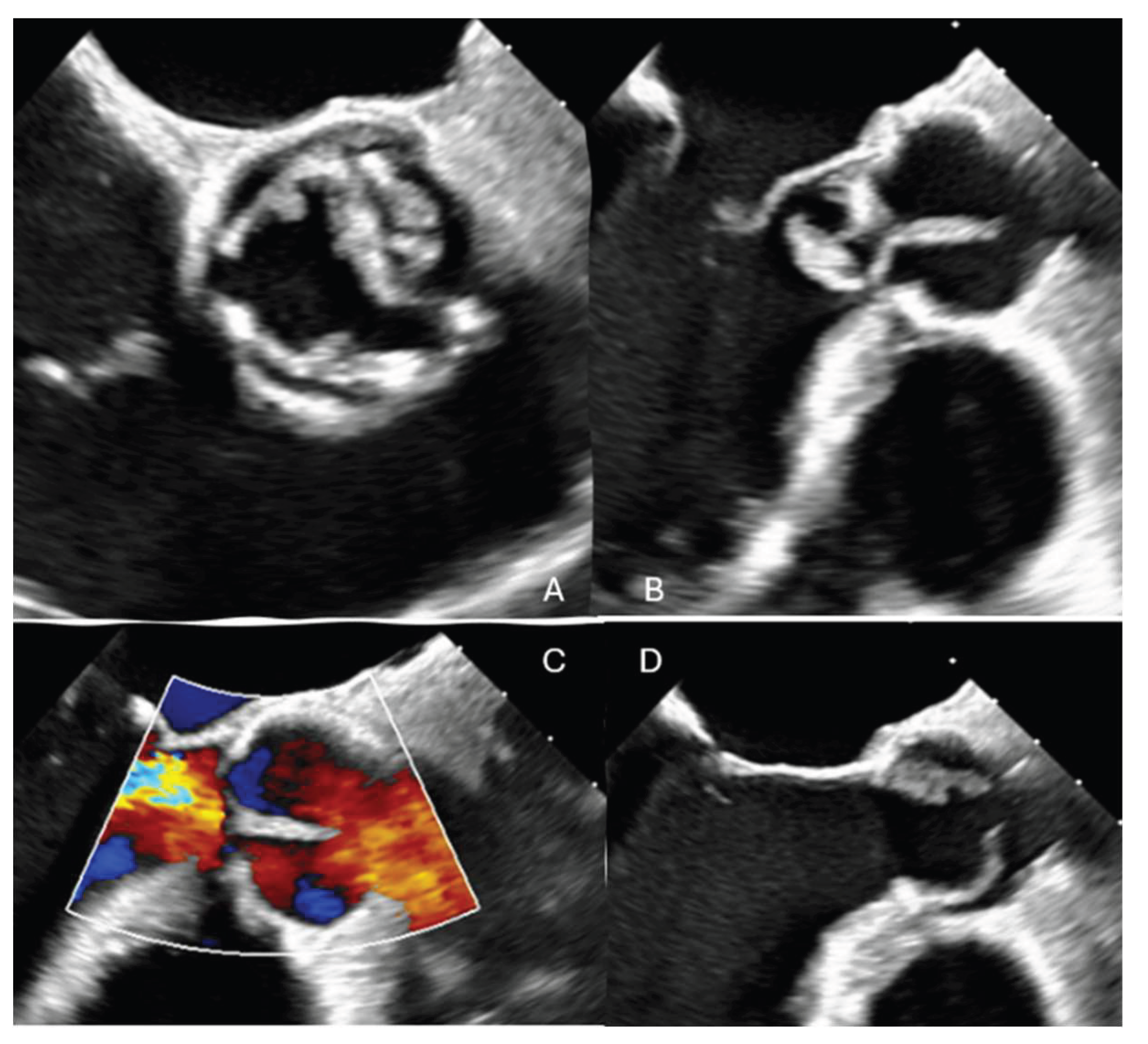 Preprints 186077 g001