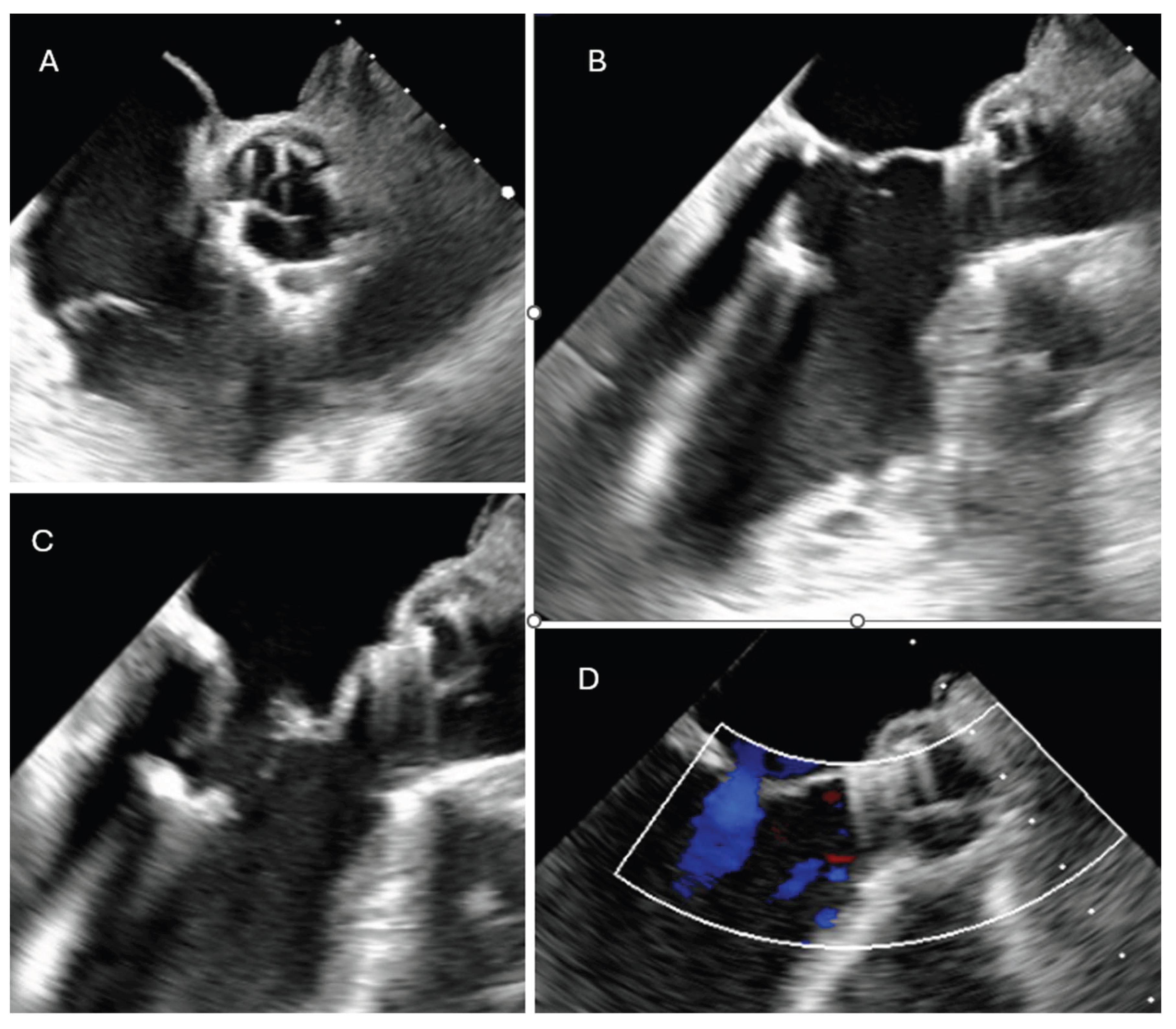 Preprints 186077 g002