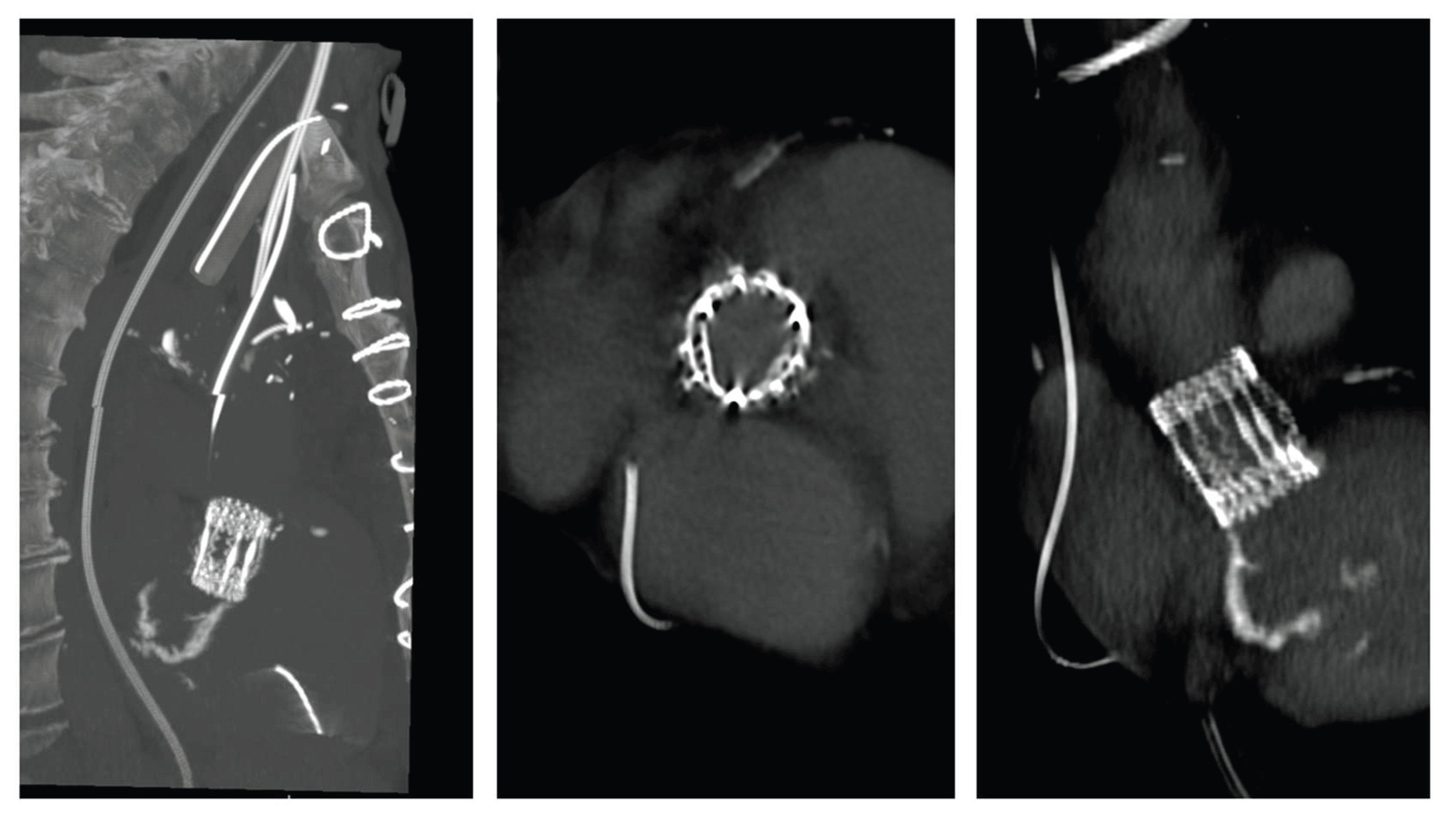 Preprints 186077 g003