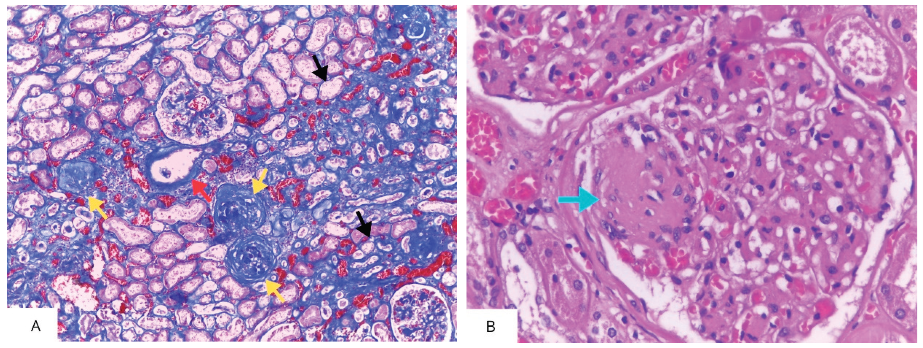 Preprints 169756 g002