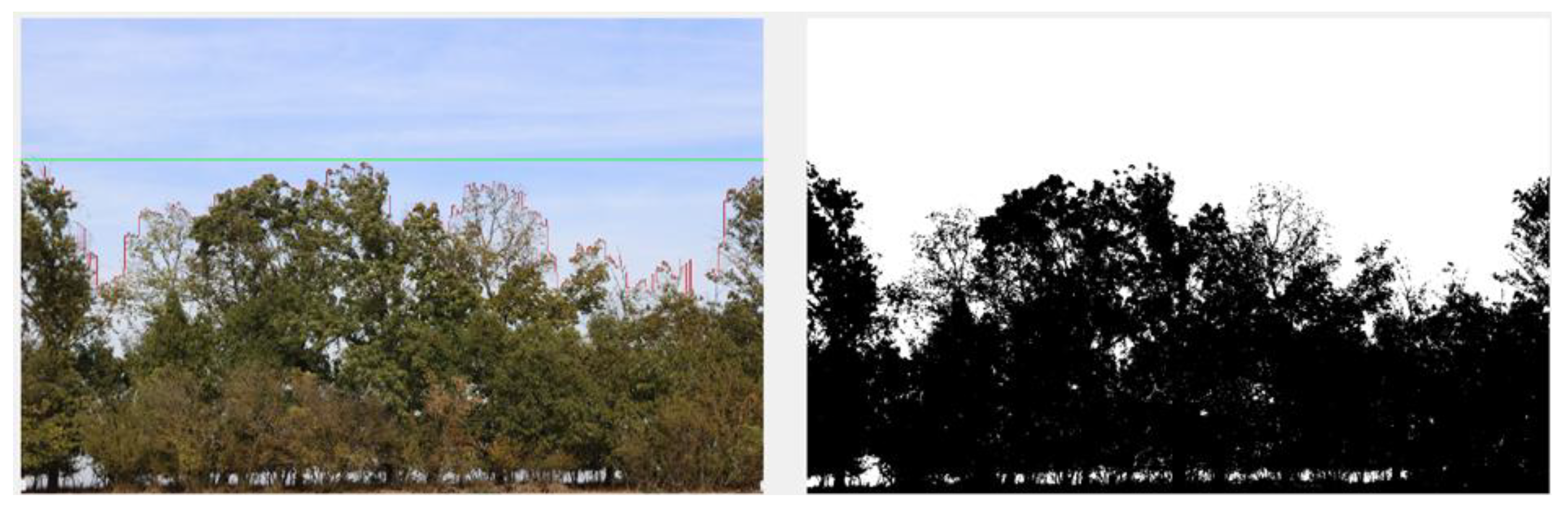 Preprints 154428 g005