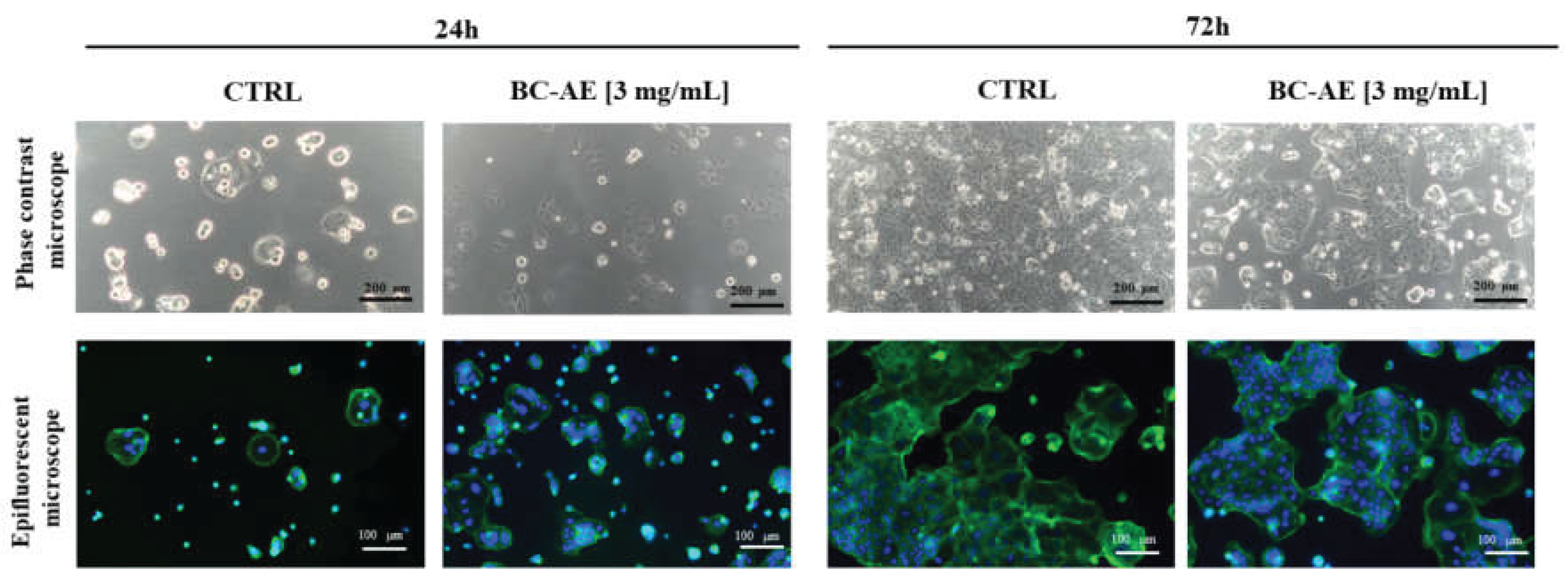 Preprints 199360 g002