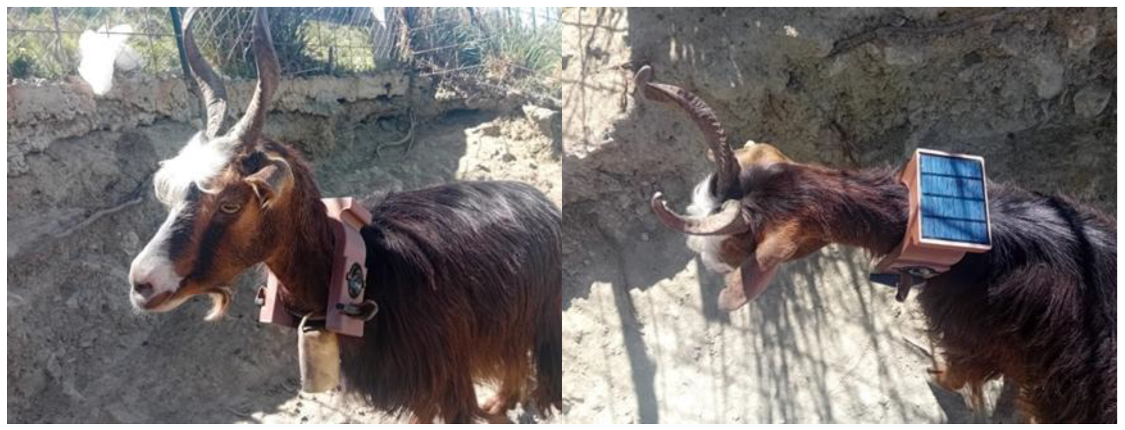 Preprints 171076 g005