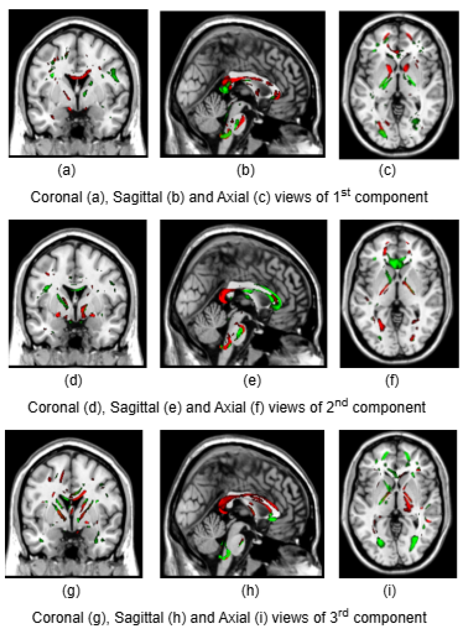 Preprints 148029 g002
