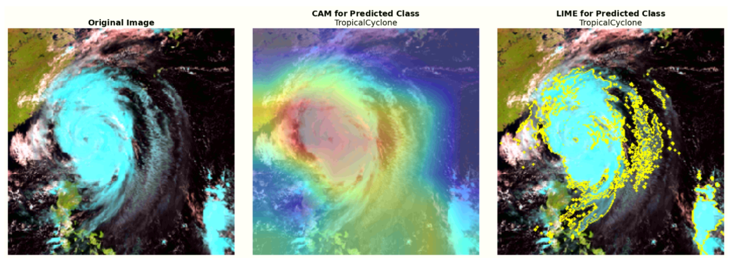 Preprints 182418 g009