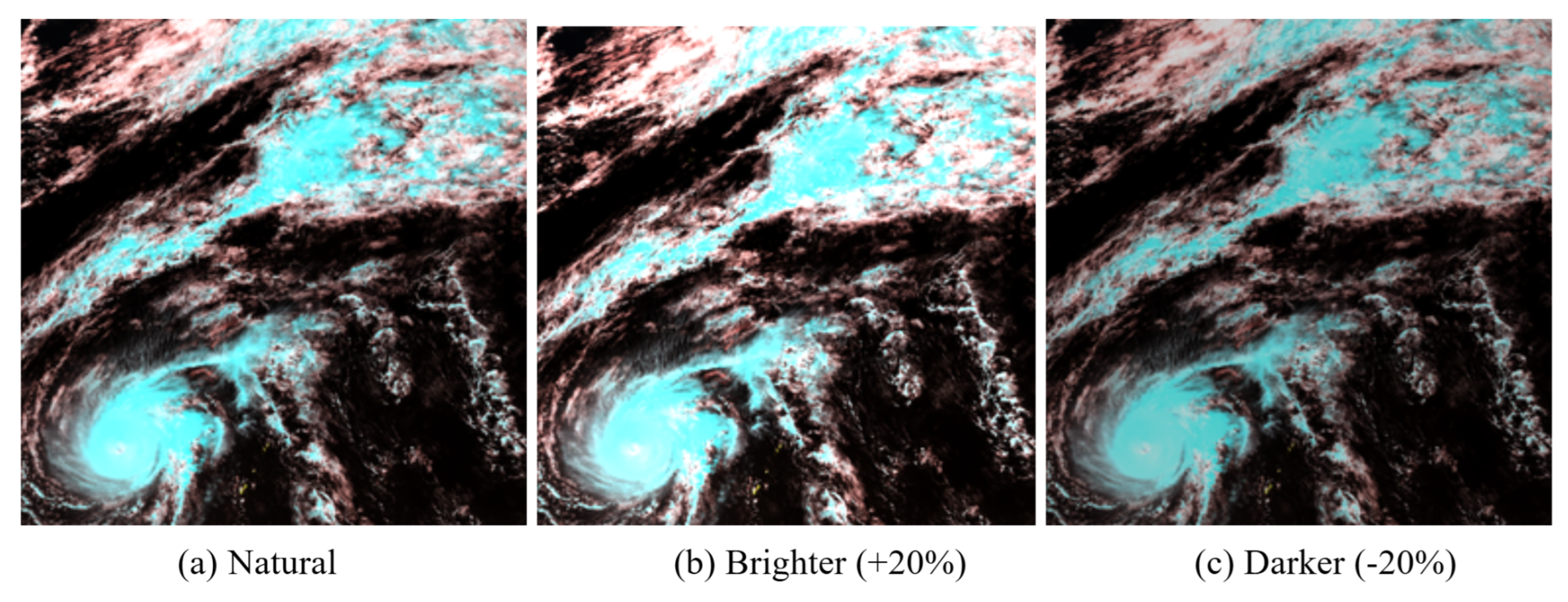 Preprints 182418 g010