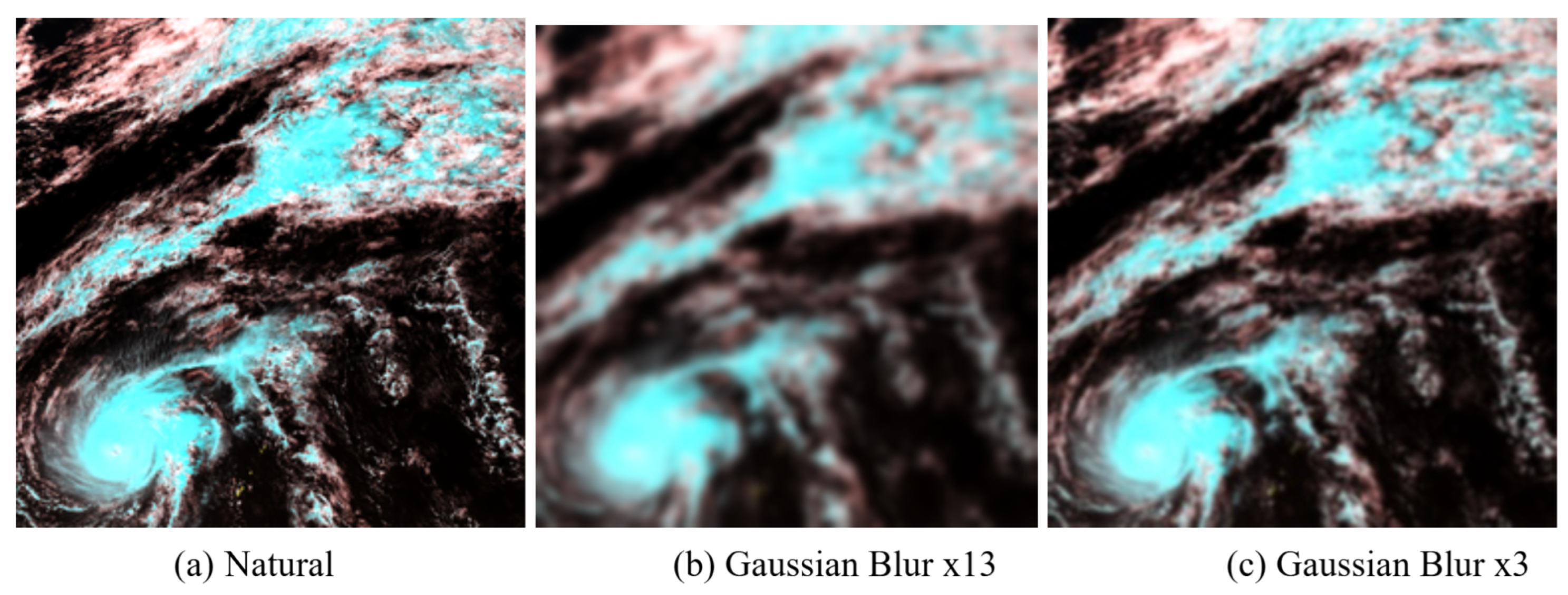 Preprints 182418 g011