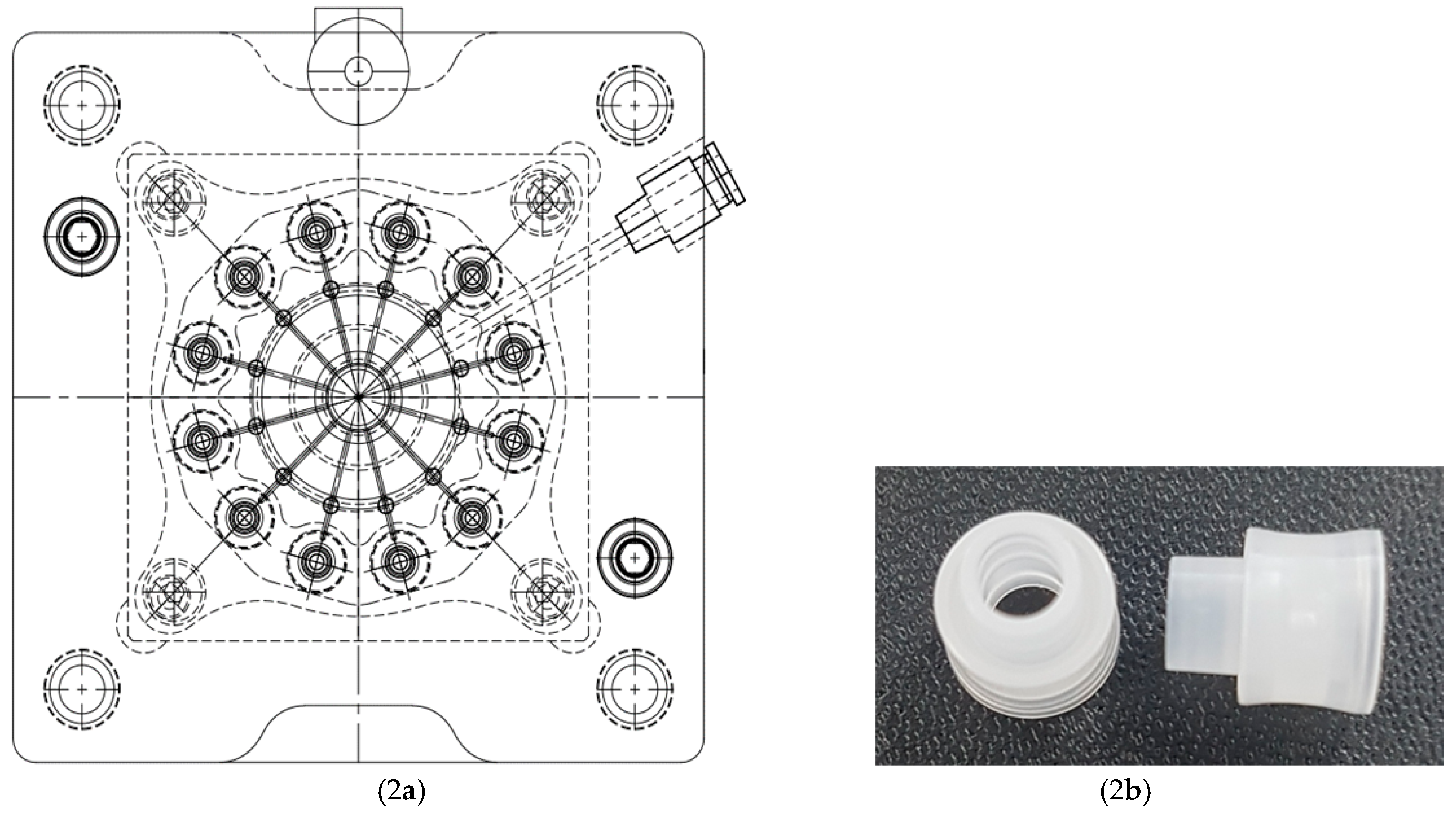 Preprints 185748 g002