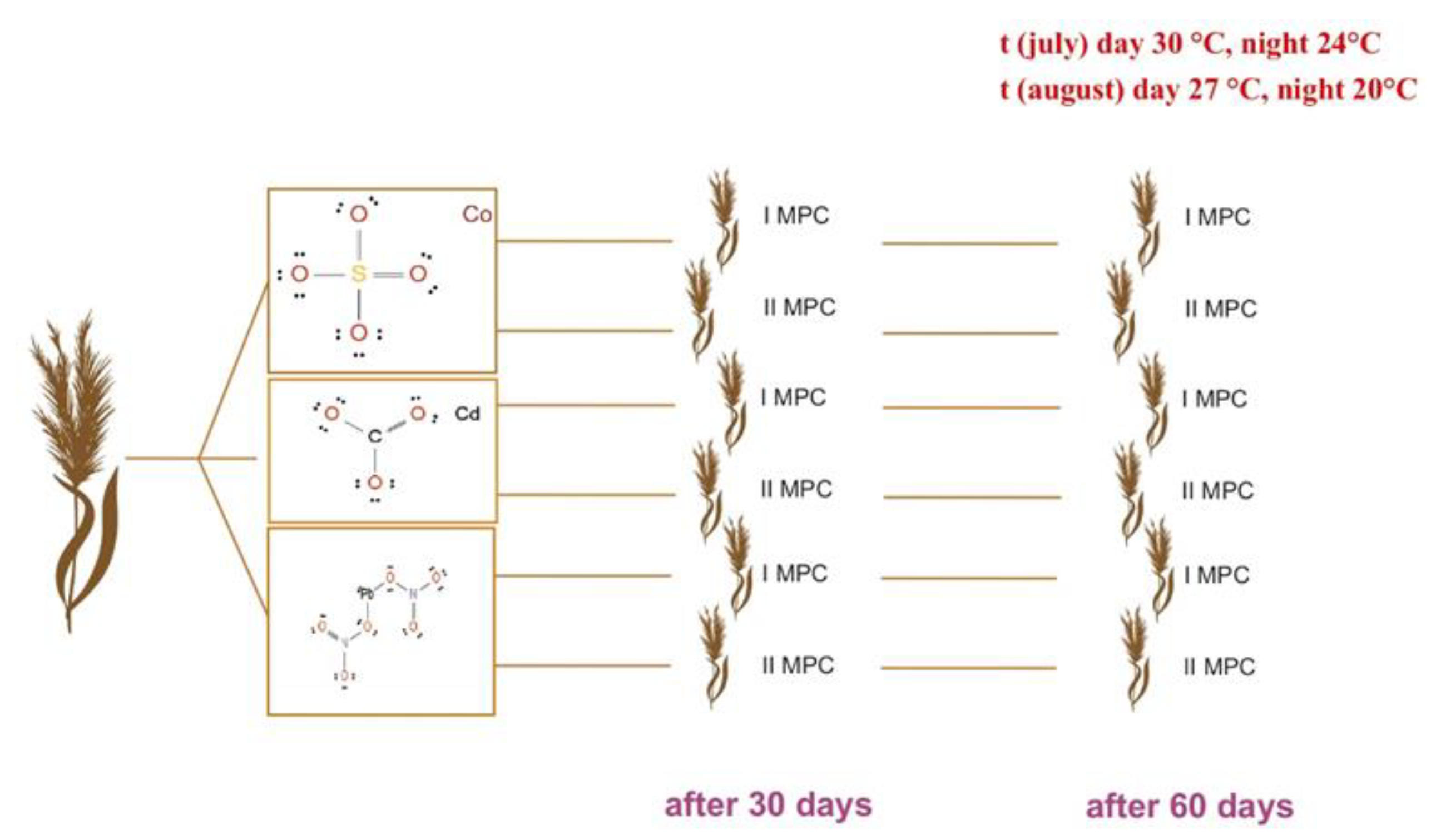Preprints 181748 g008