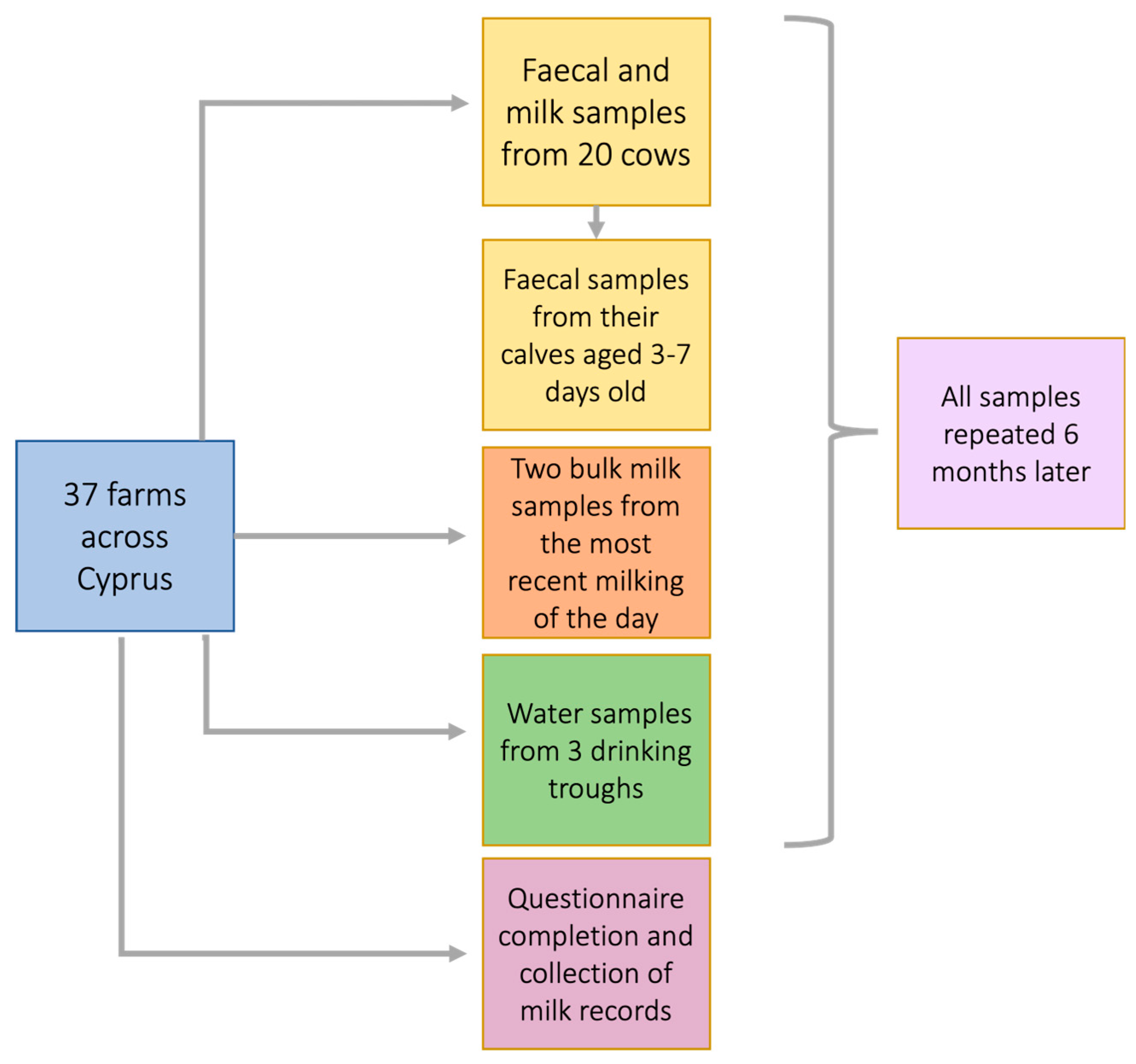 Preprints 96167 g002