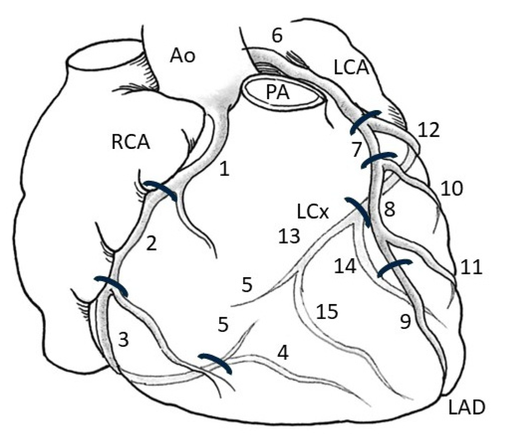 Preprints 196786 g001