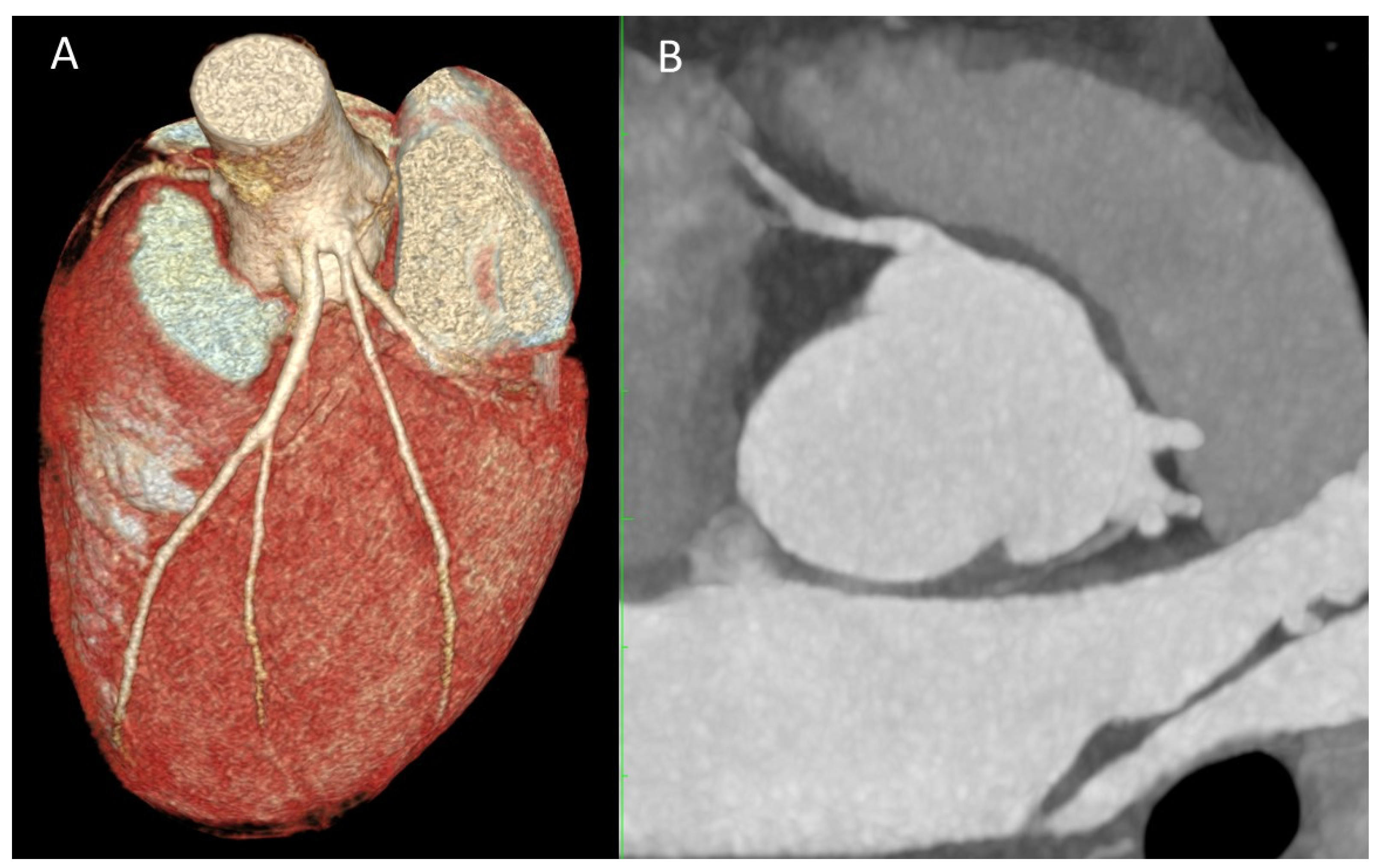 Preprints 196786 g002