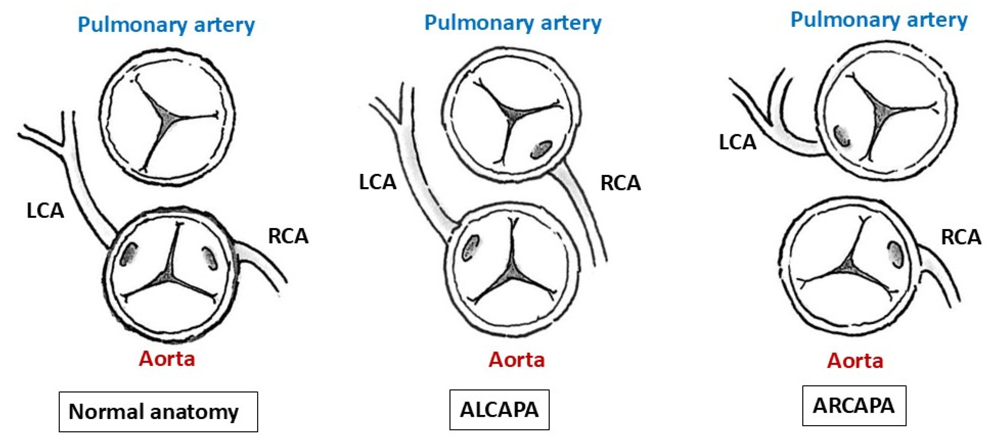 Preprints 196786 g003