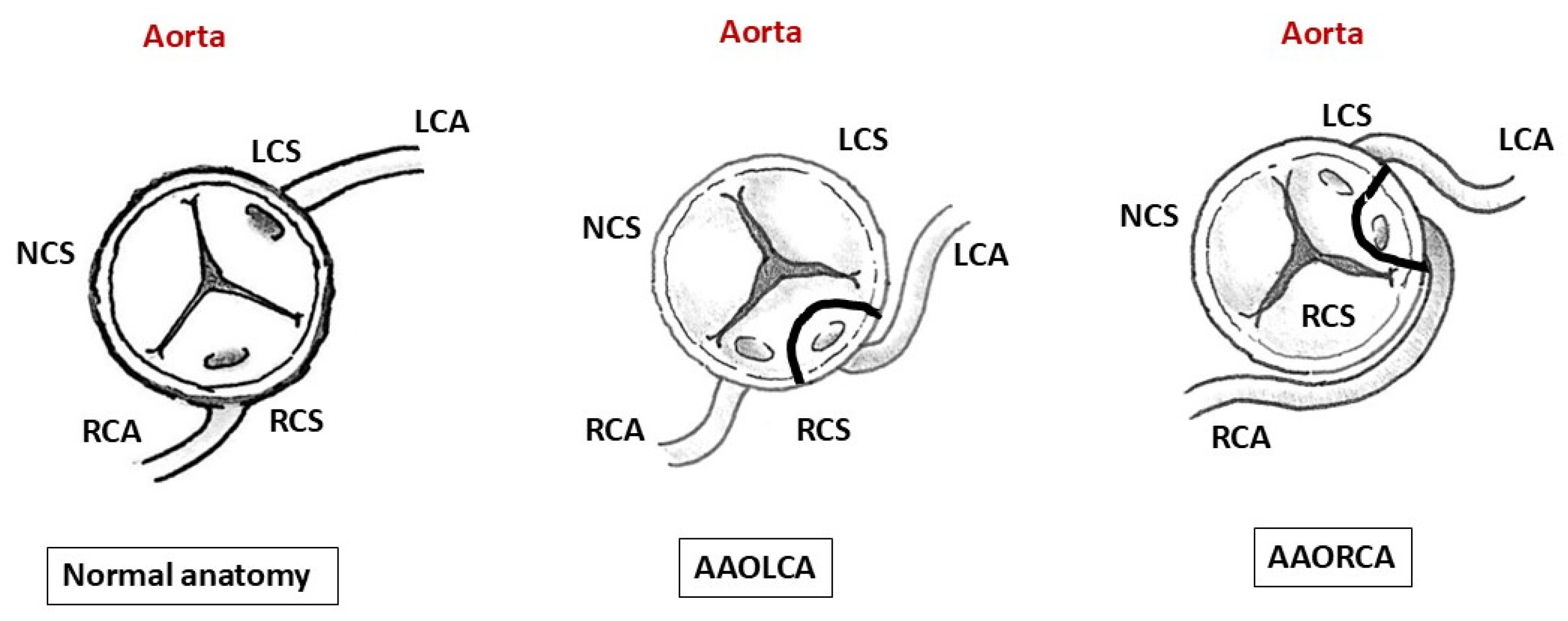 Preprints 196786 g004