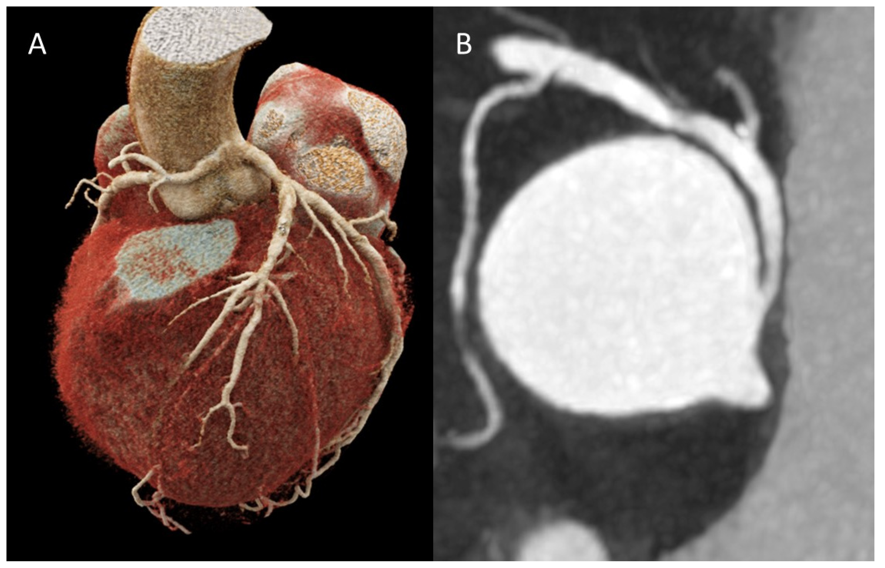 Preprints 196786 g005