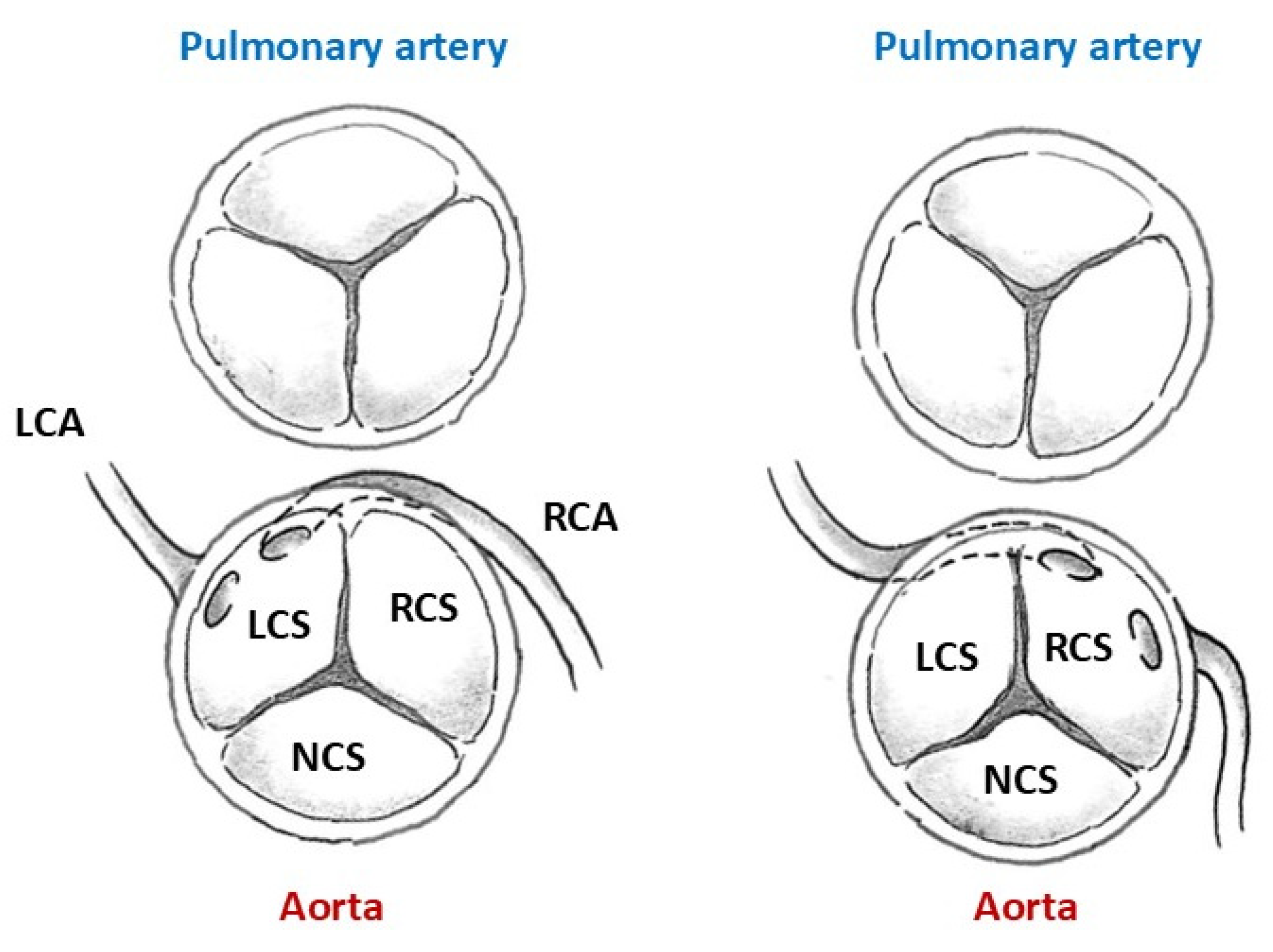 Preprints 196786 g006