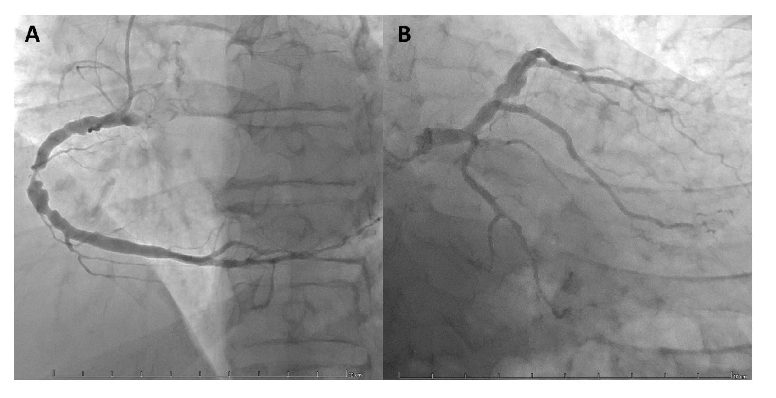 Preprints 196786 g007