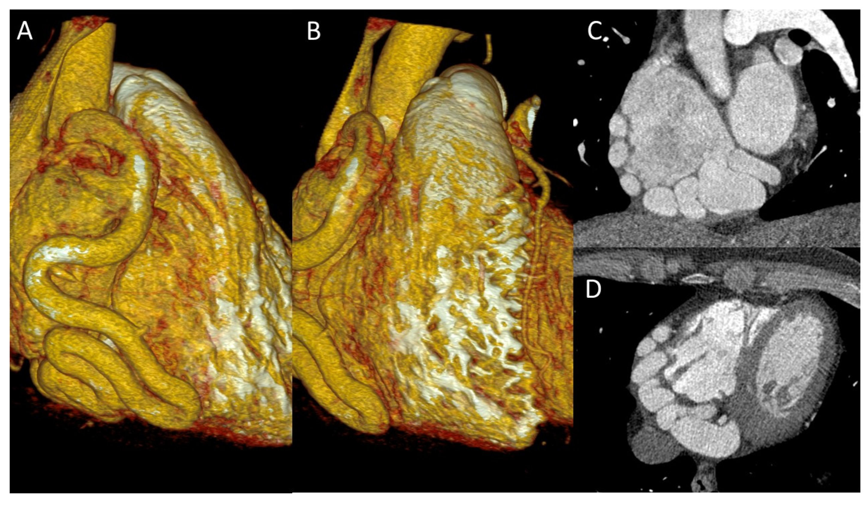 Preprints 196786 g008