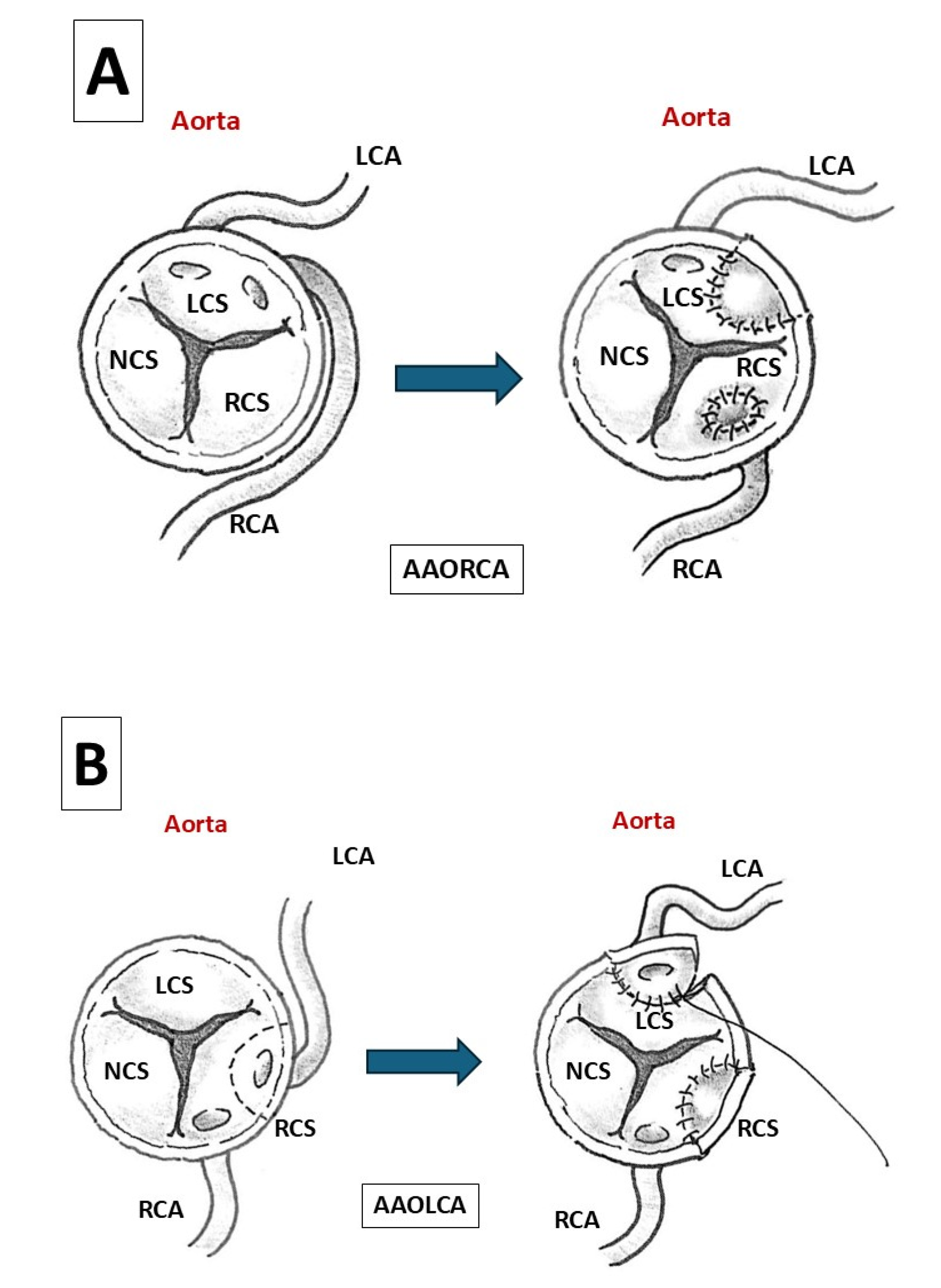 Preprints 196786 g009