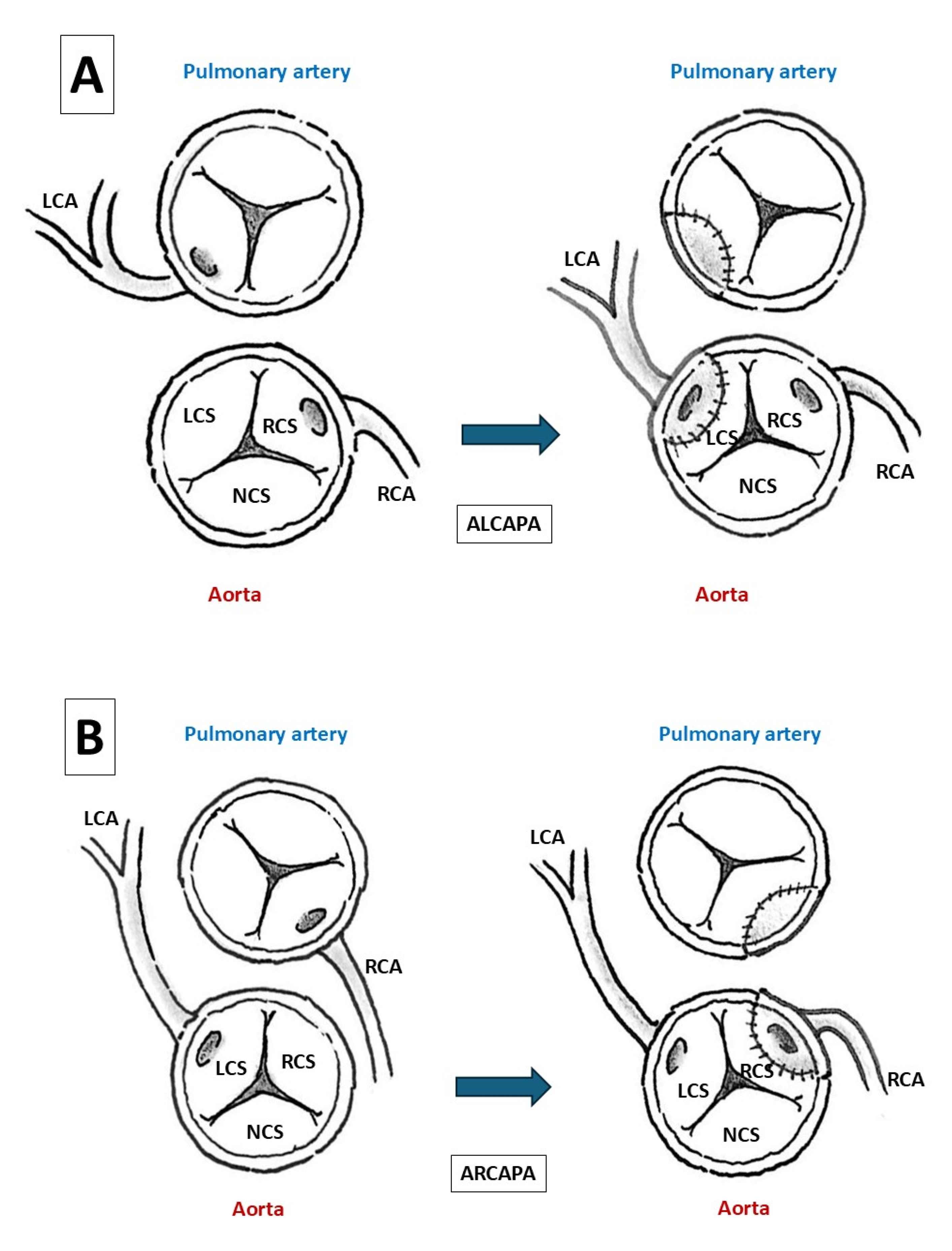 Preprints 196786 g010