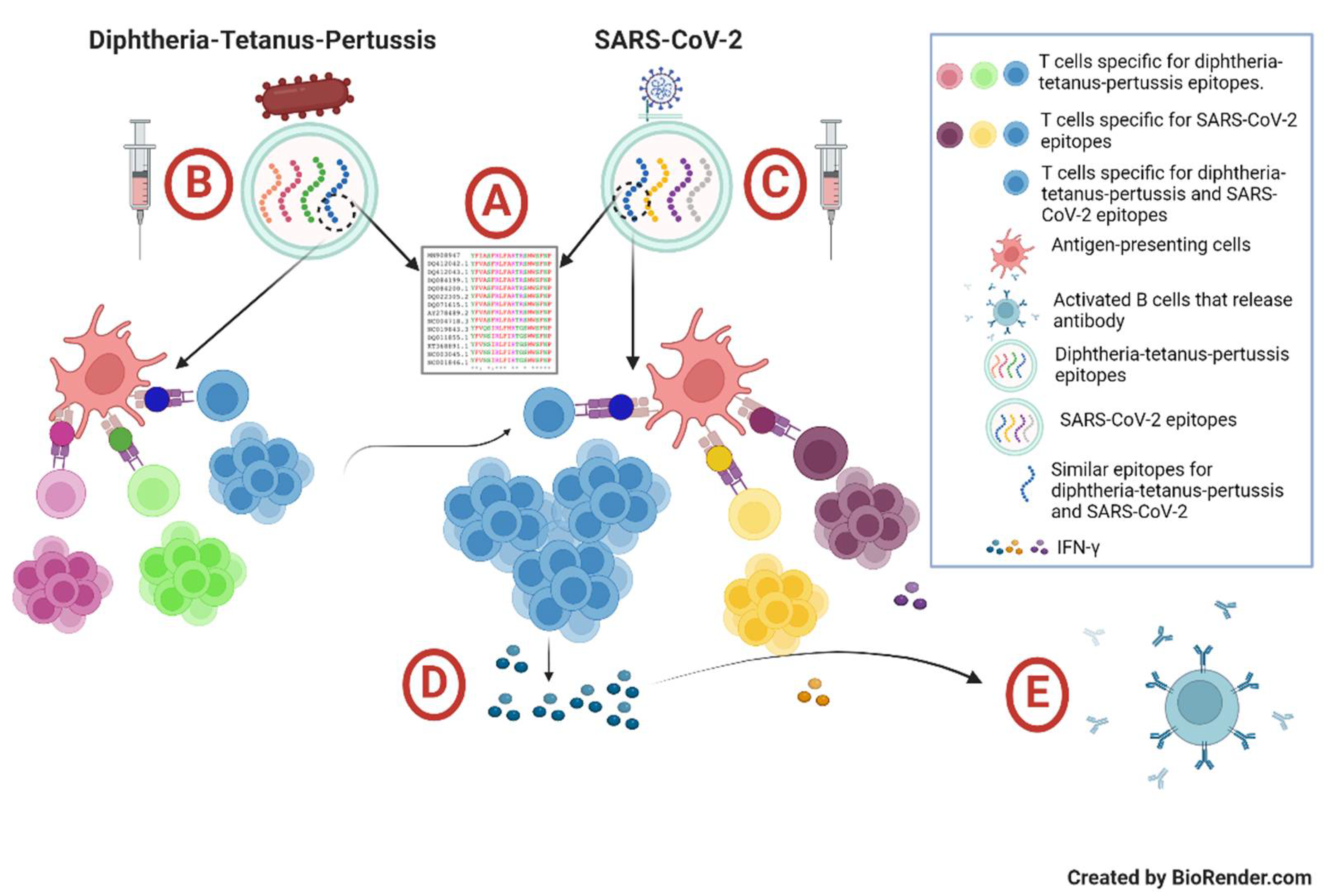 Preprints 111959 g003