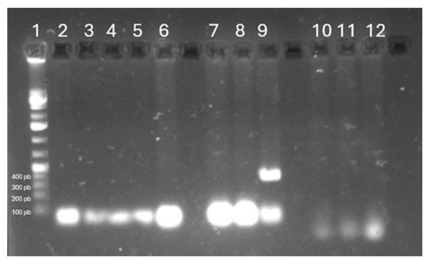 Preprints 169266 g002