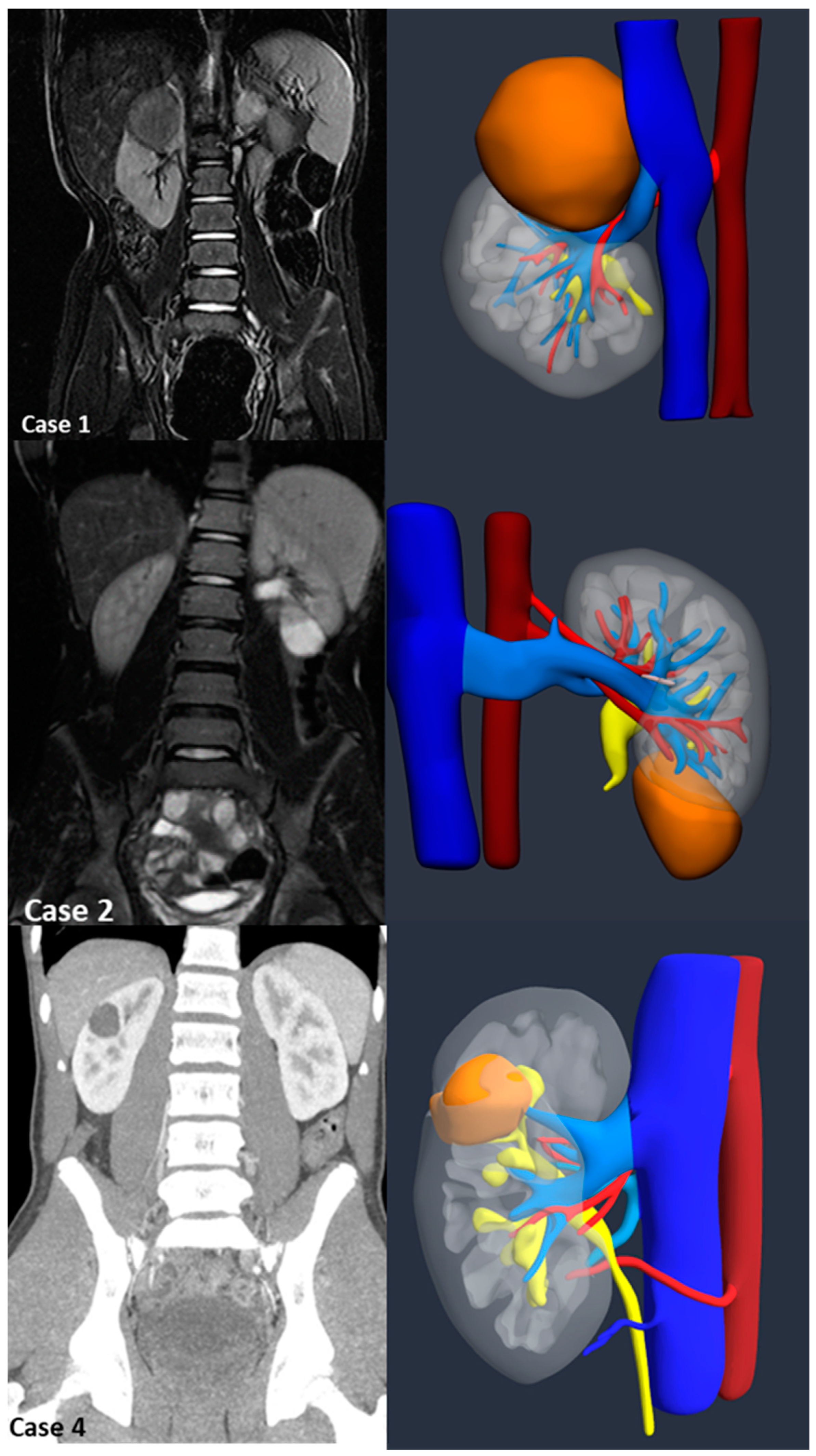 Preprints 150912 g001