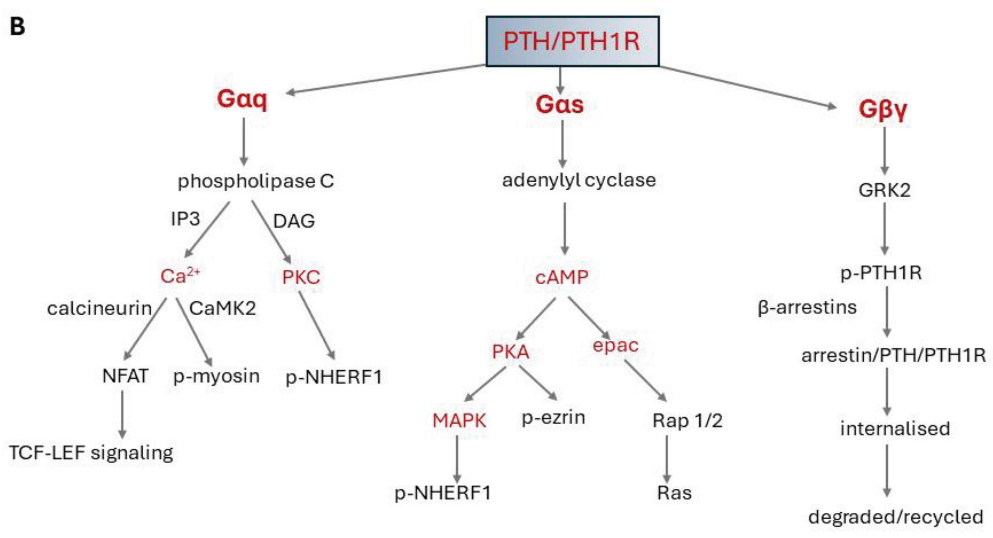 Preprints 102257 g002b