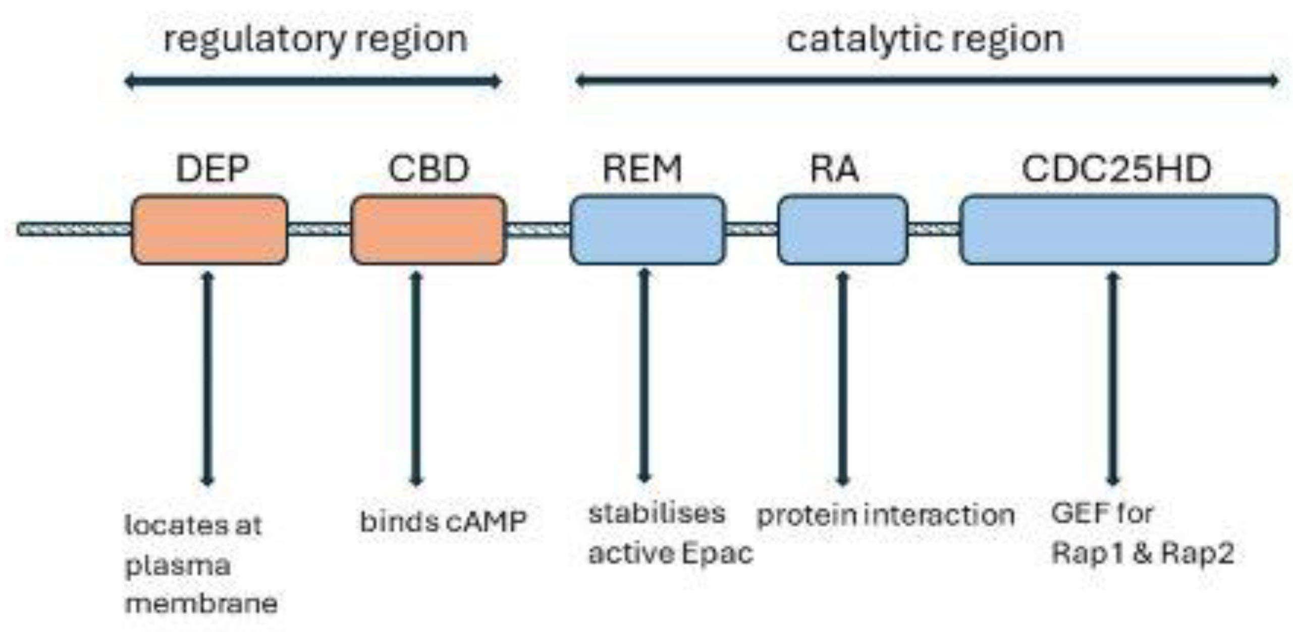 Preprints 102257 g003