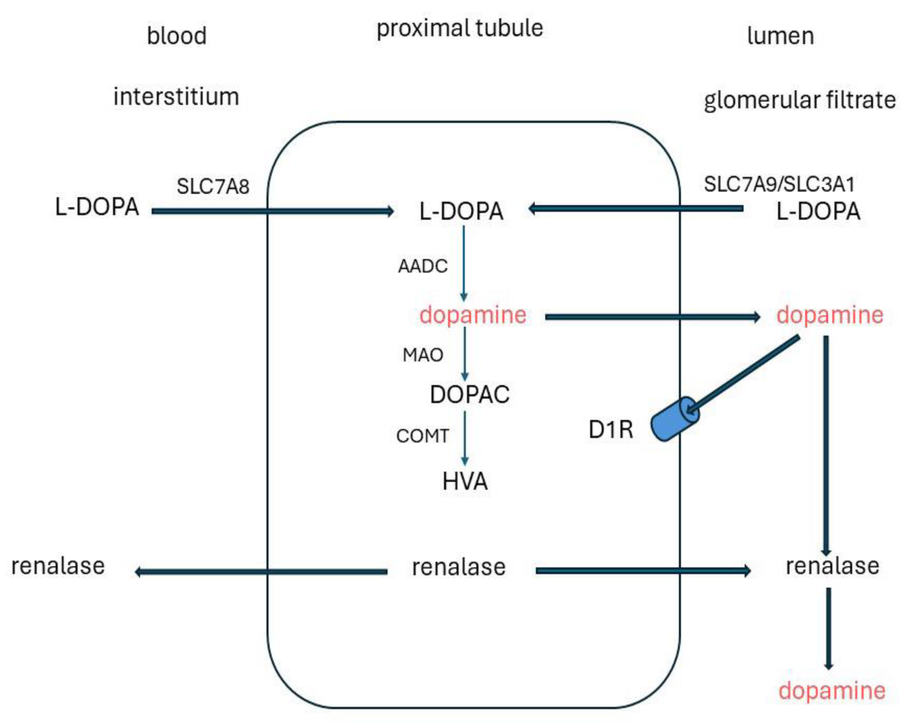 Preprints 102257 g004