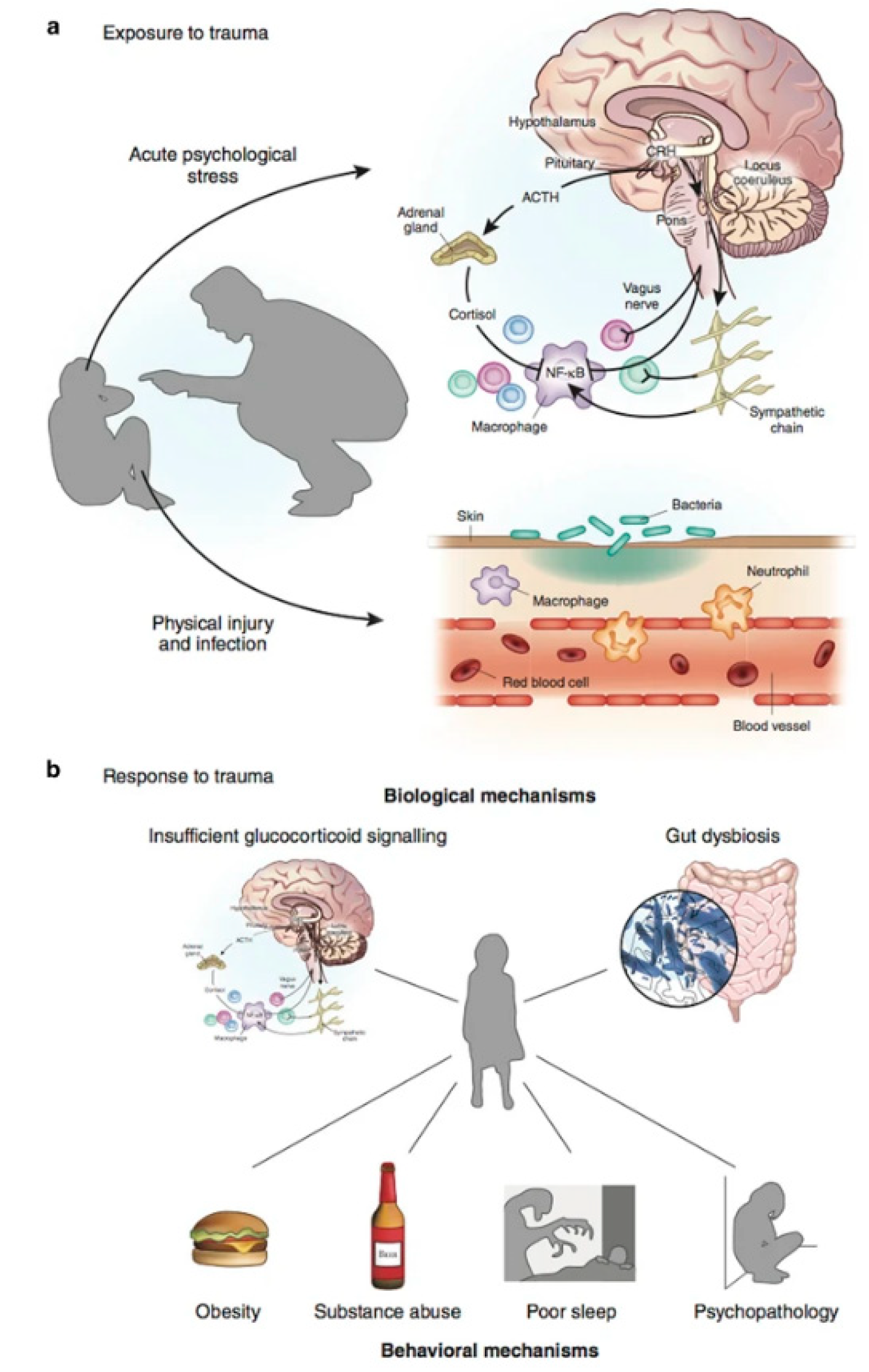 Preprints 141333 g006